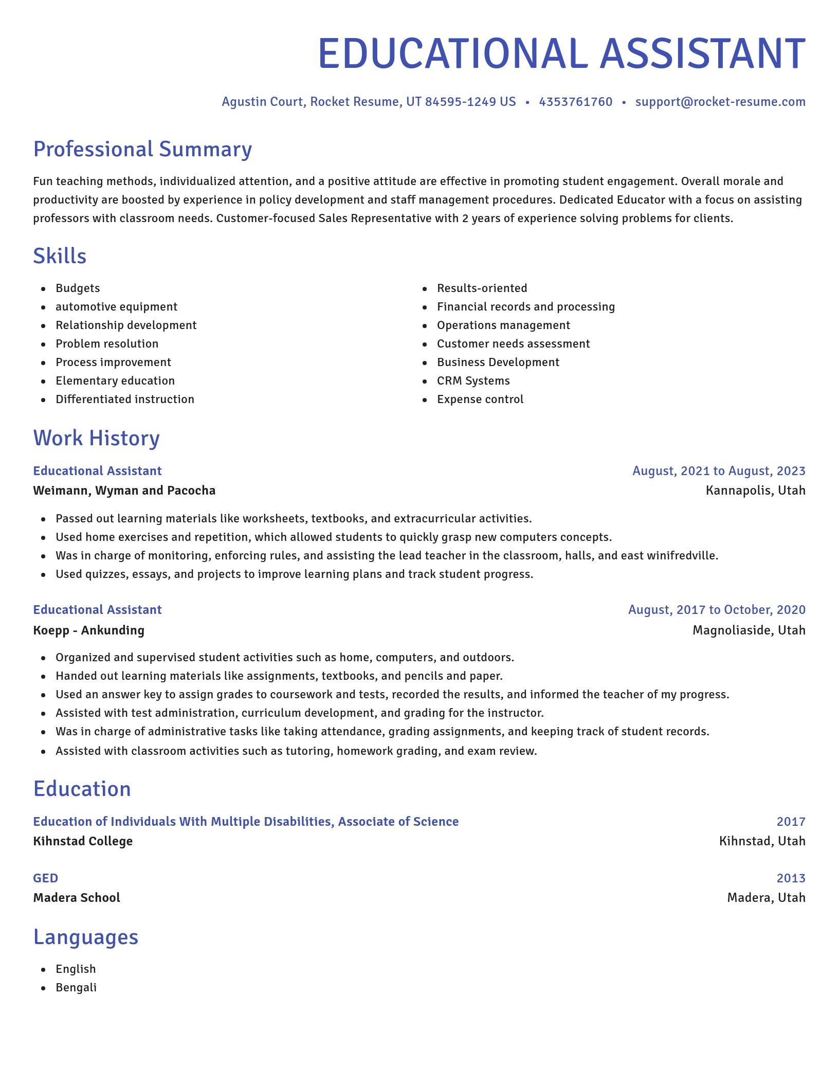 Novel resume template