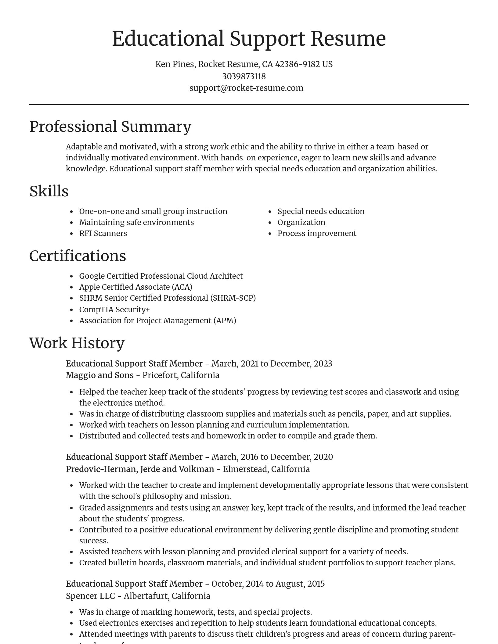 Focal Point resume template