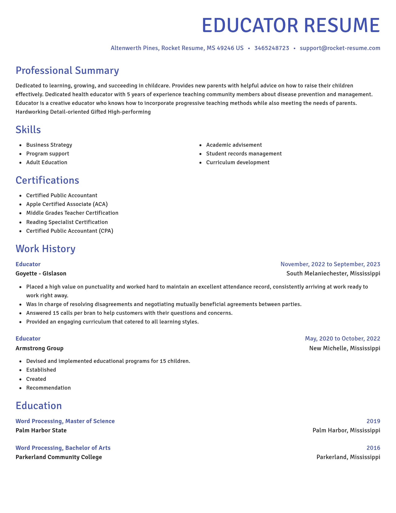 Novel resume template