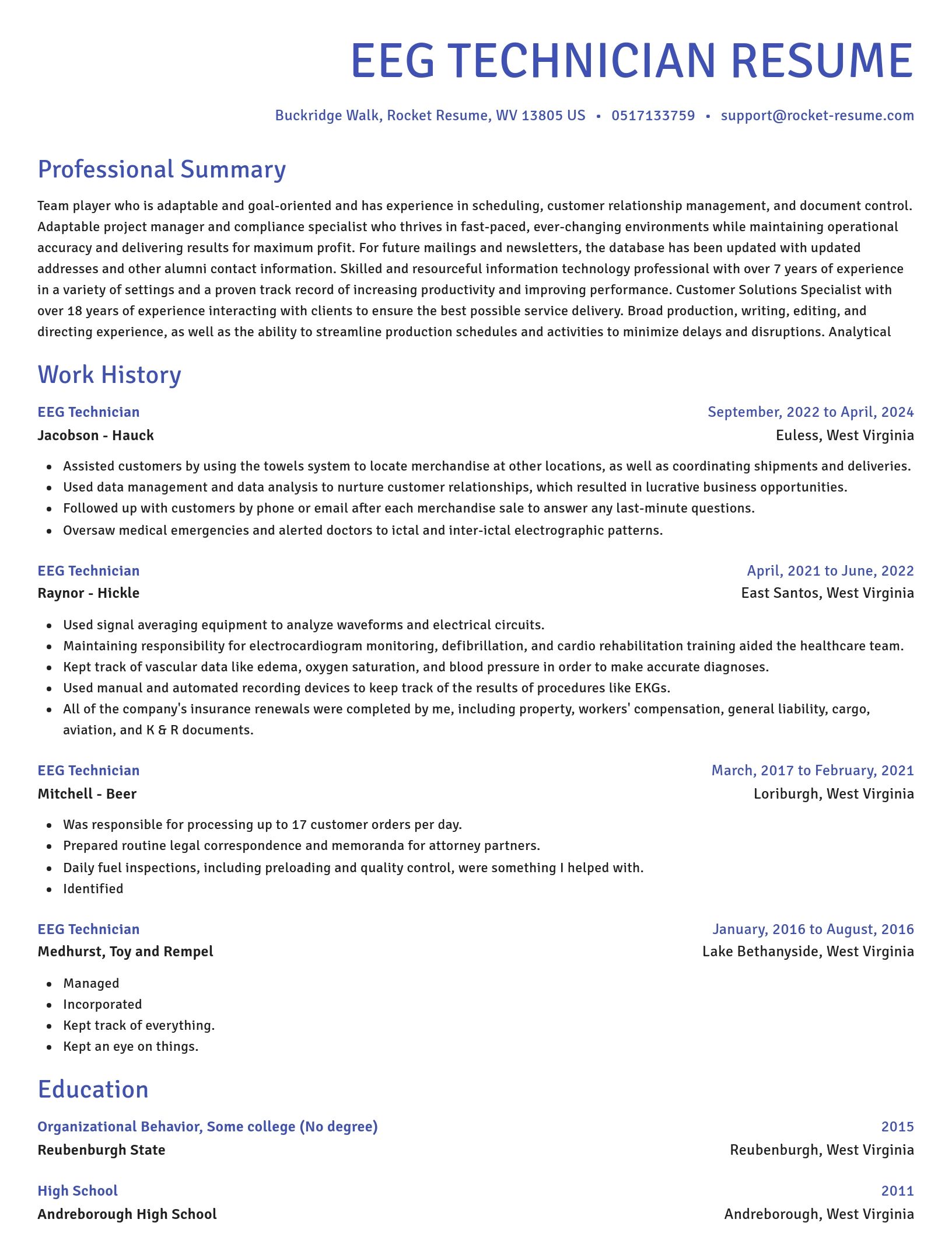 Novel resume template