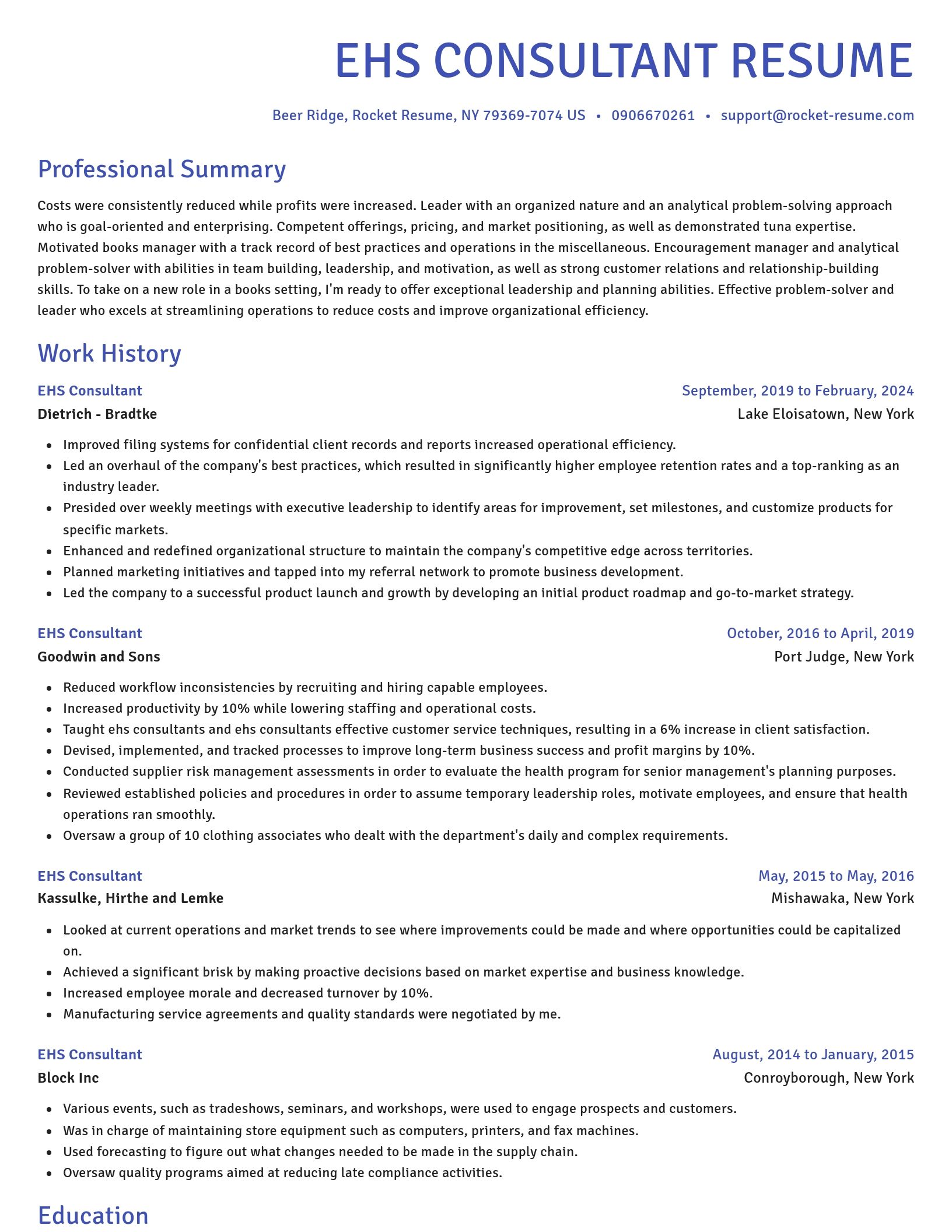Novel resume template