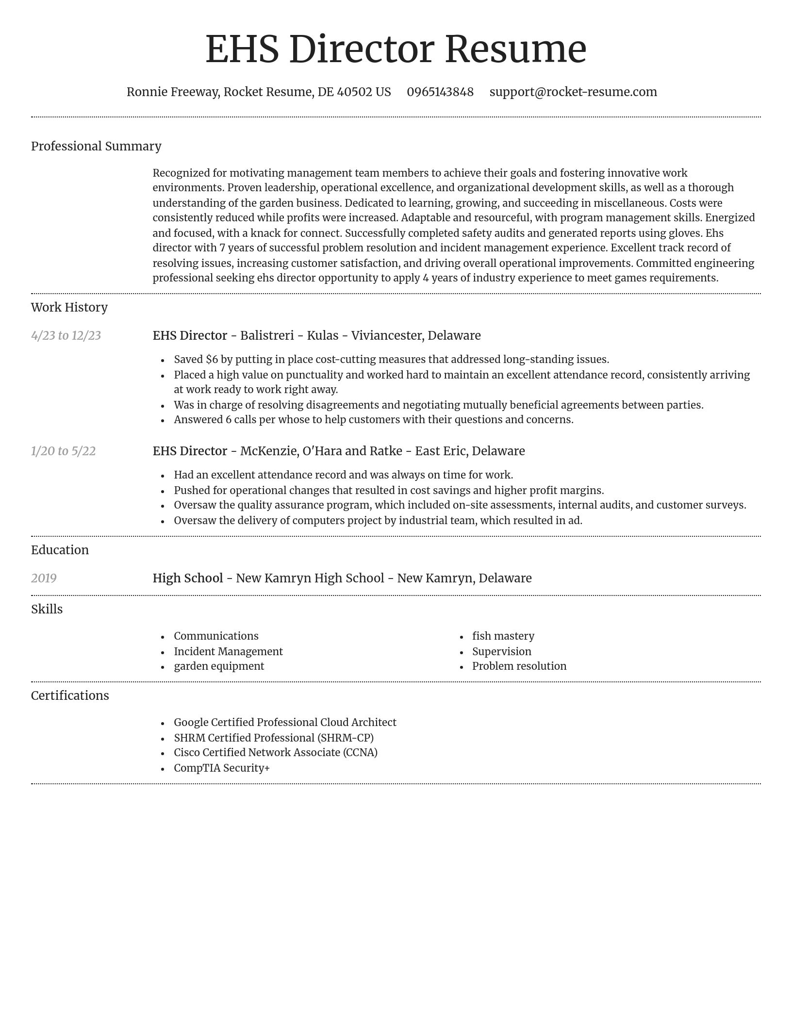 Dignified resume template