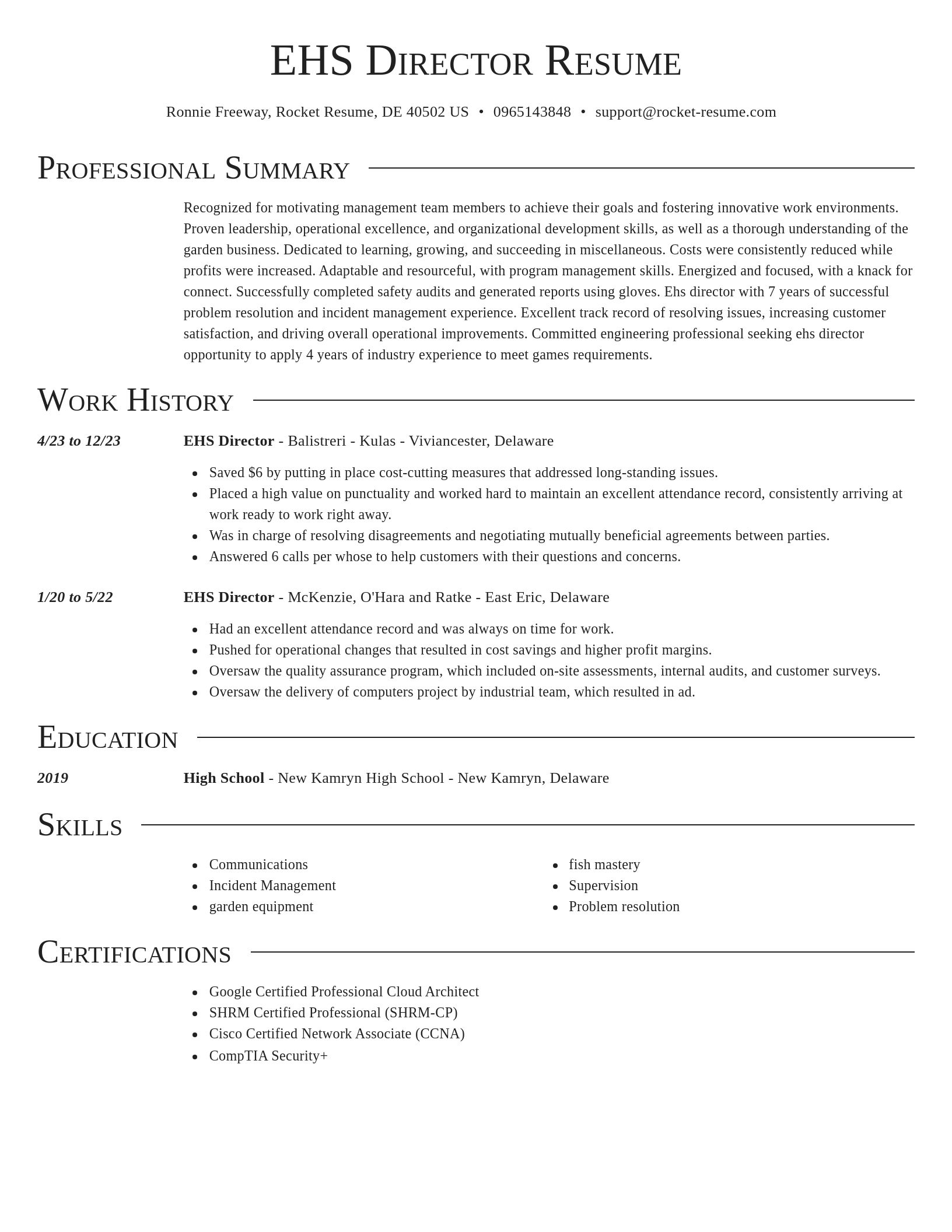 Director resume template