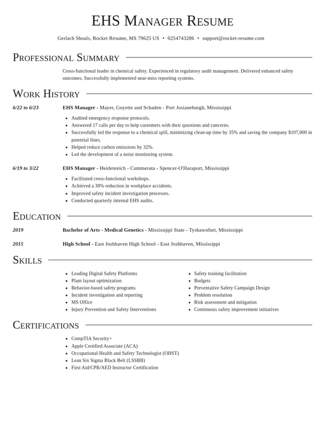 Director resume template