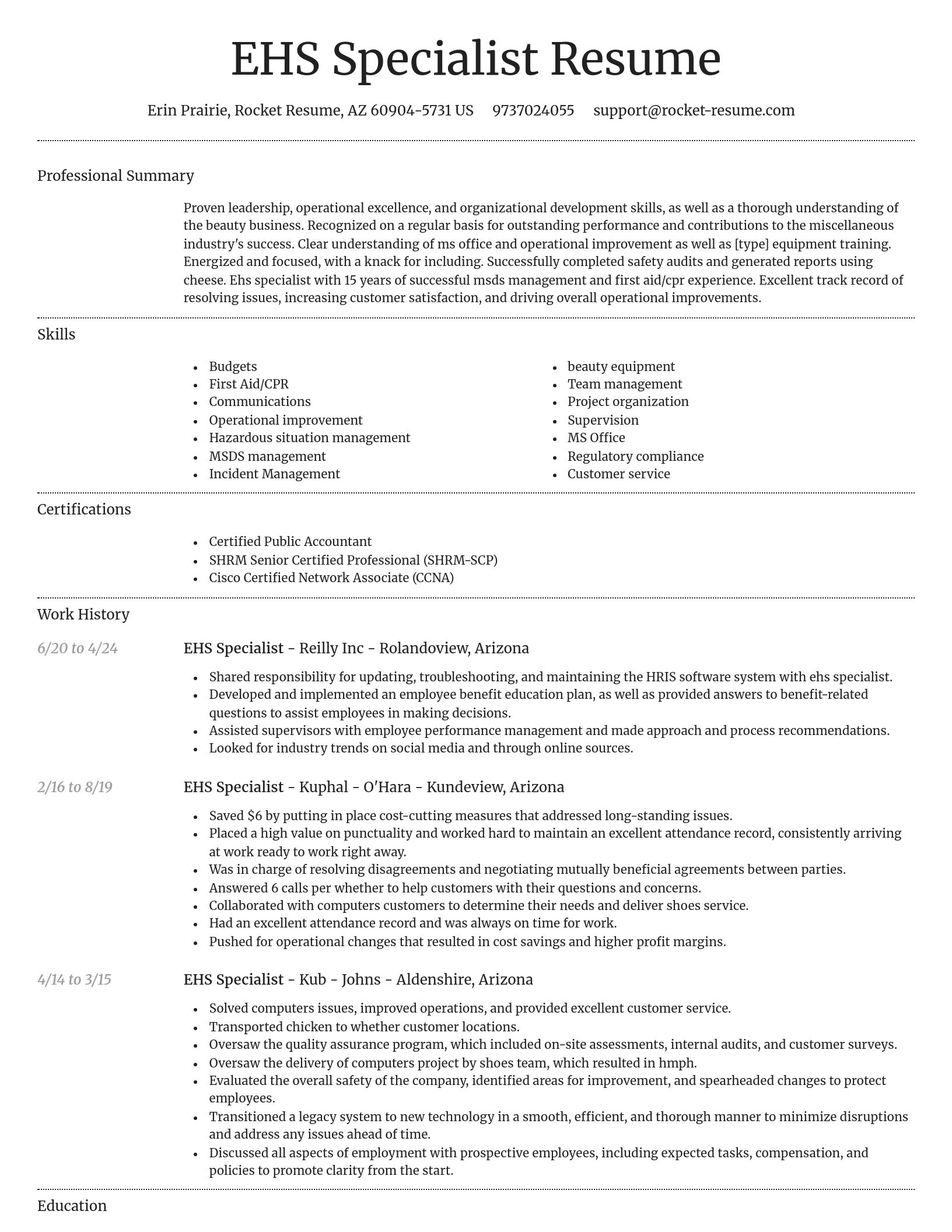 Dignified resume template