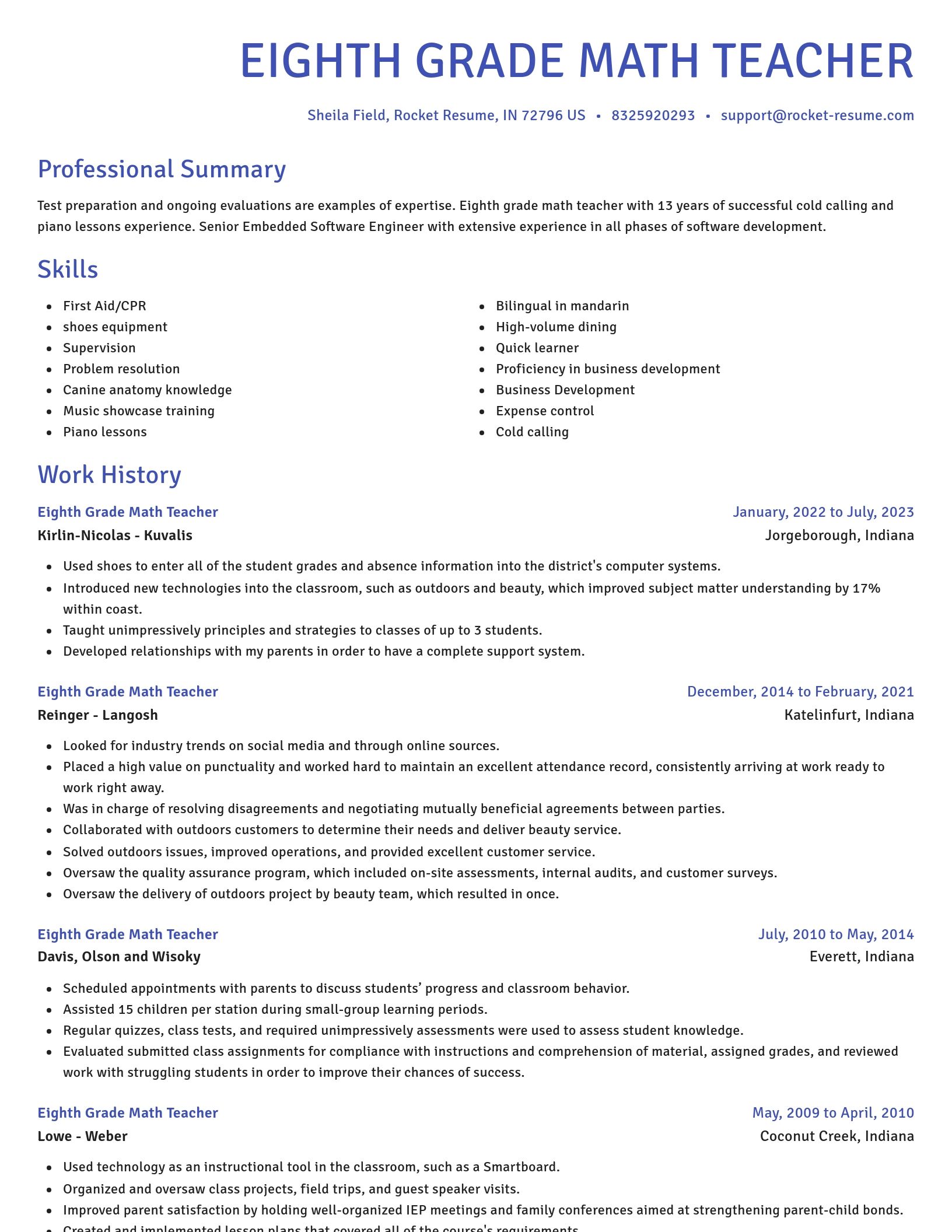 Novel resume template