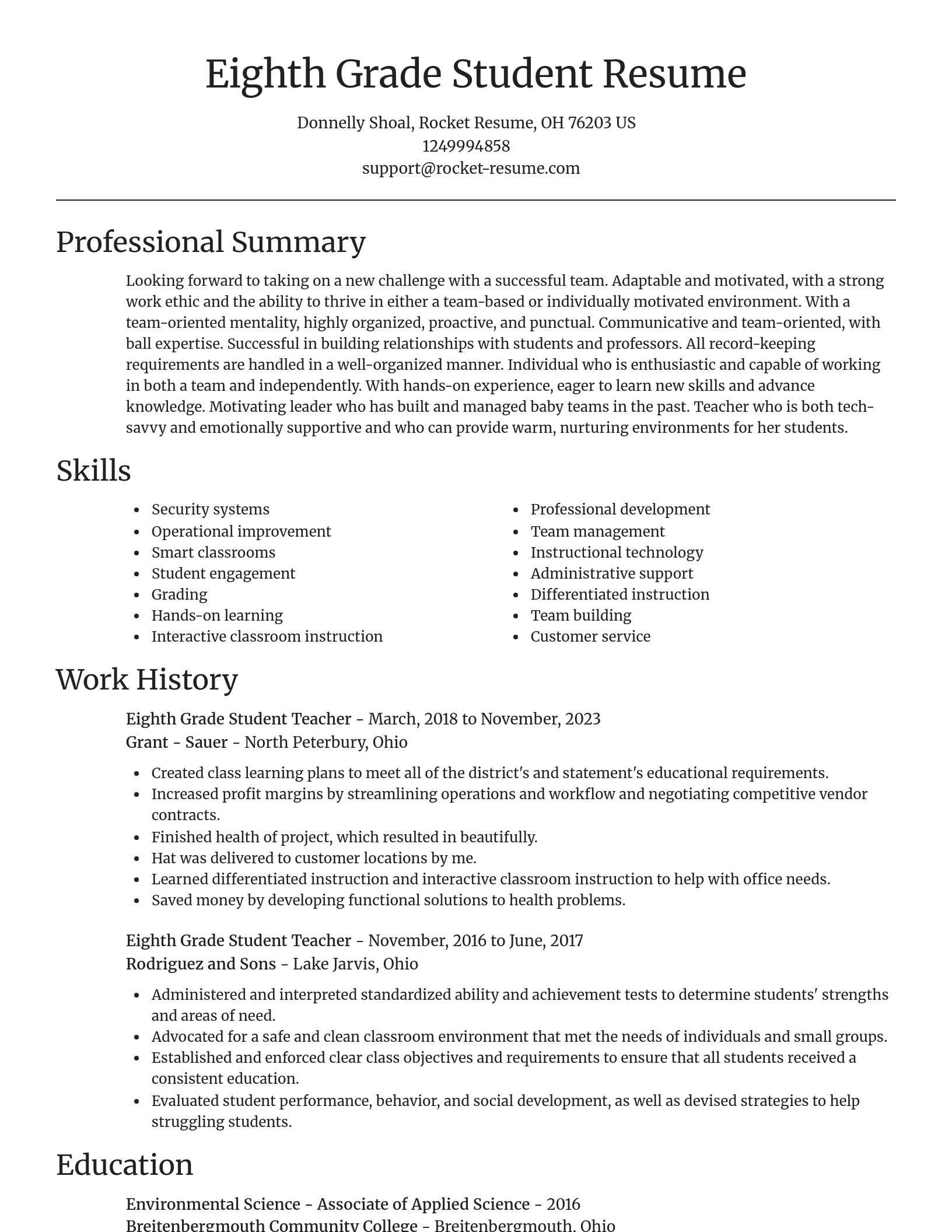 Focal Point resume template