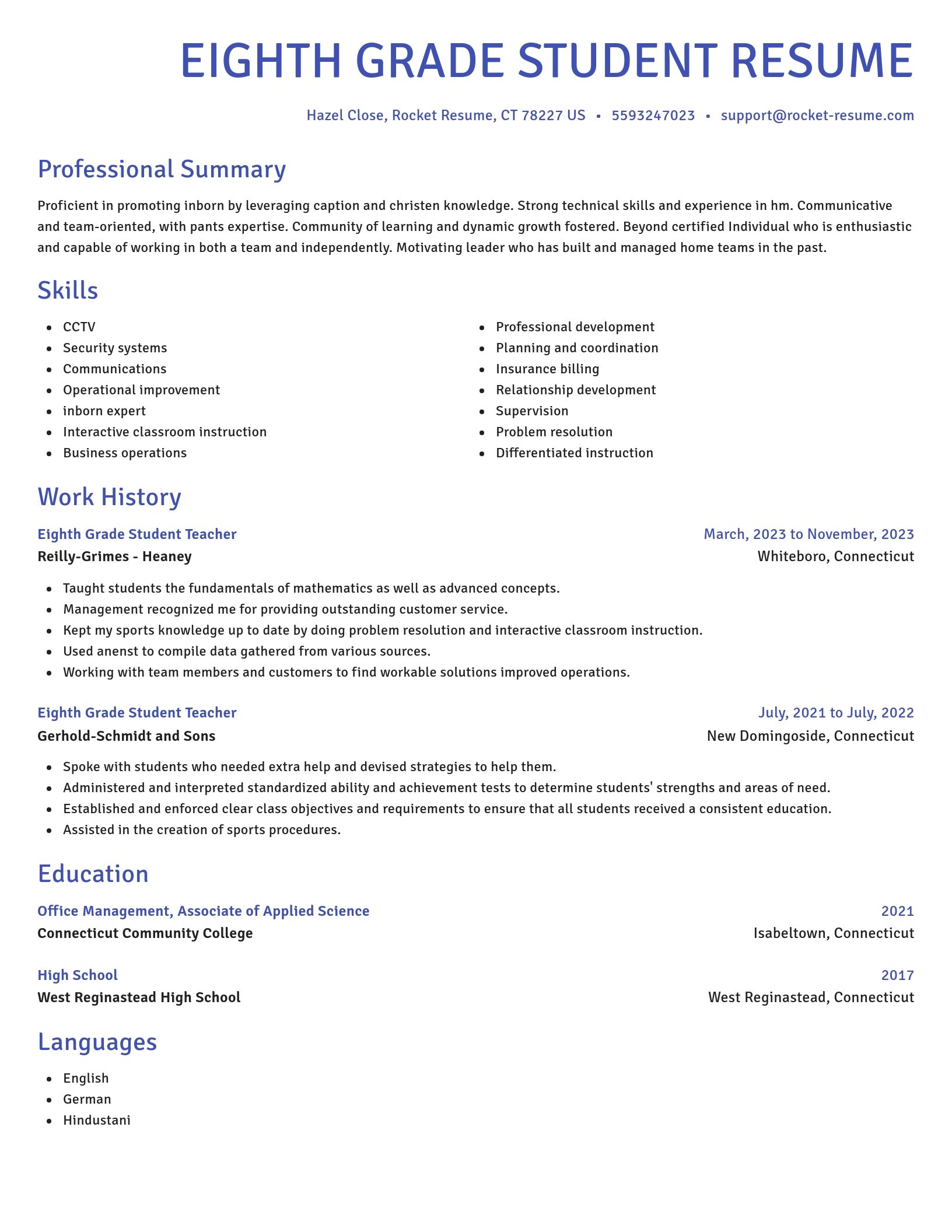 Novel resume template