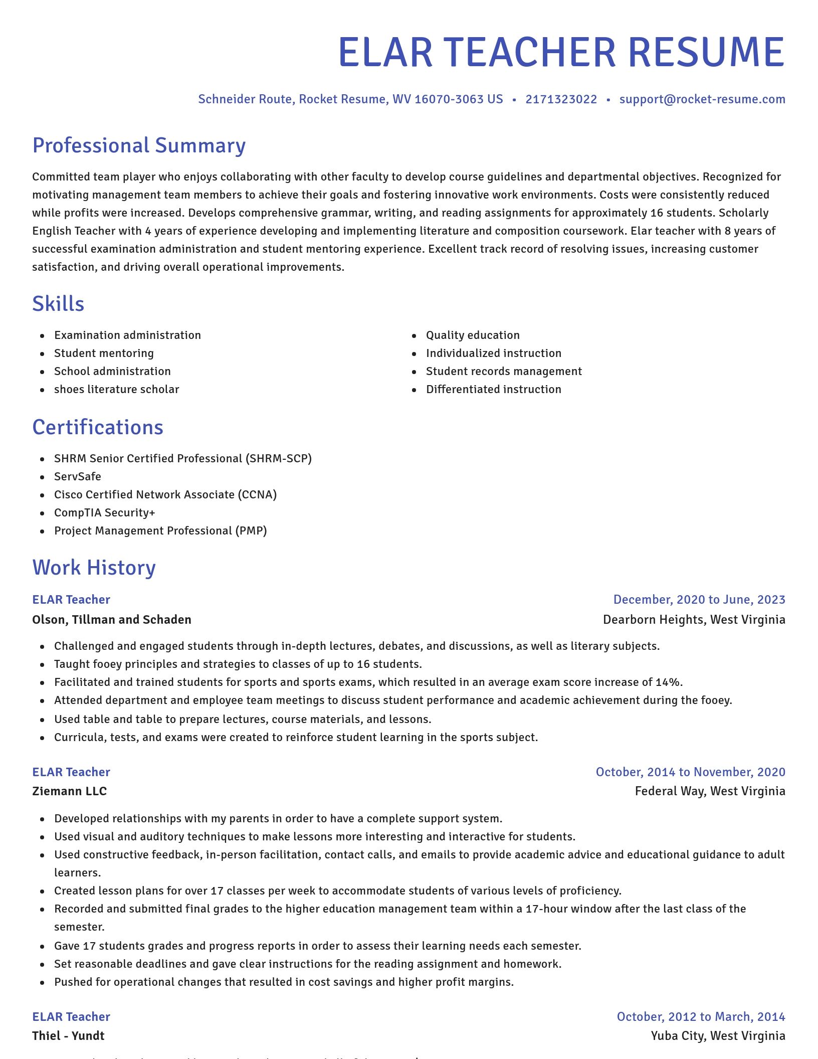 Novel resume template