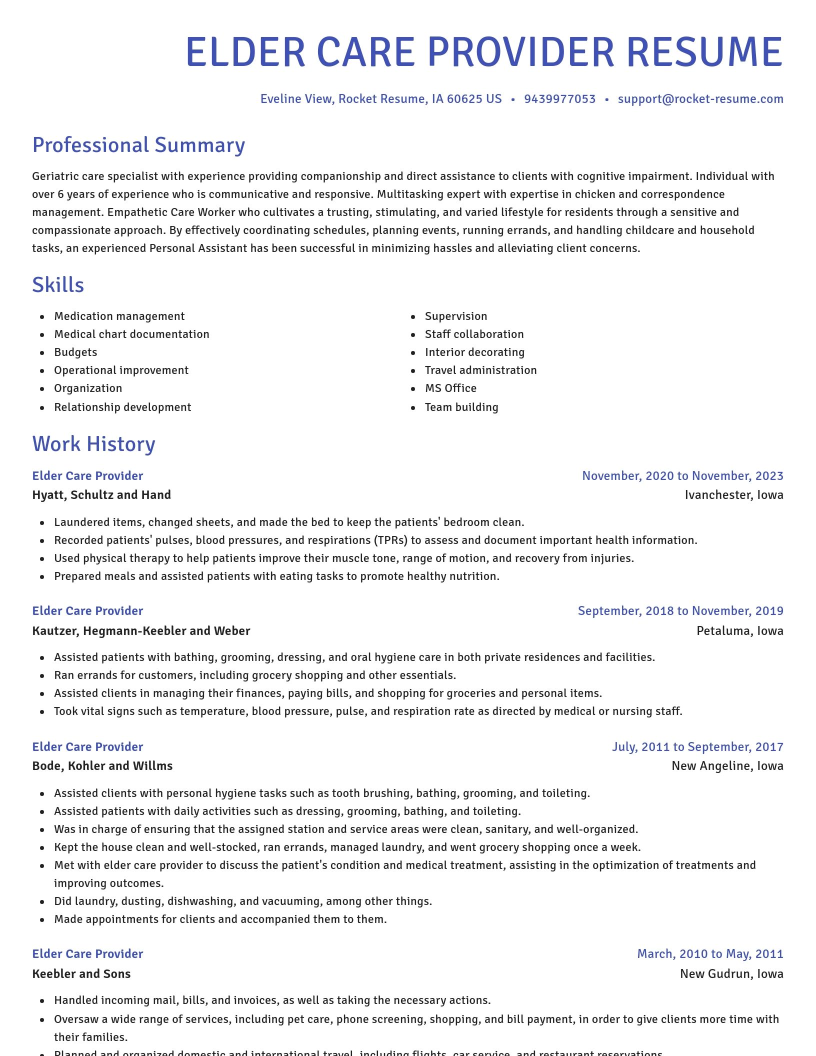 Novel resume template