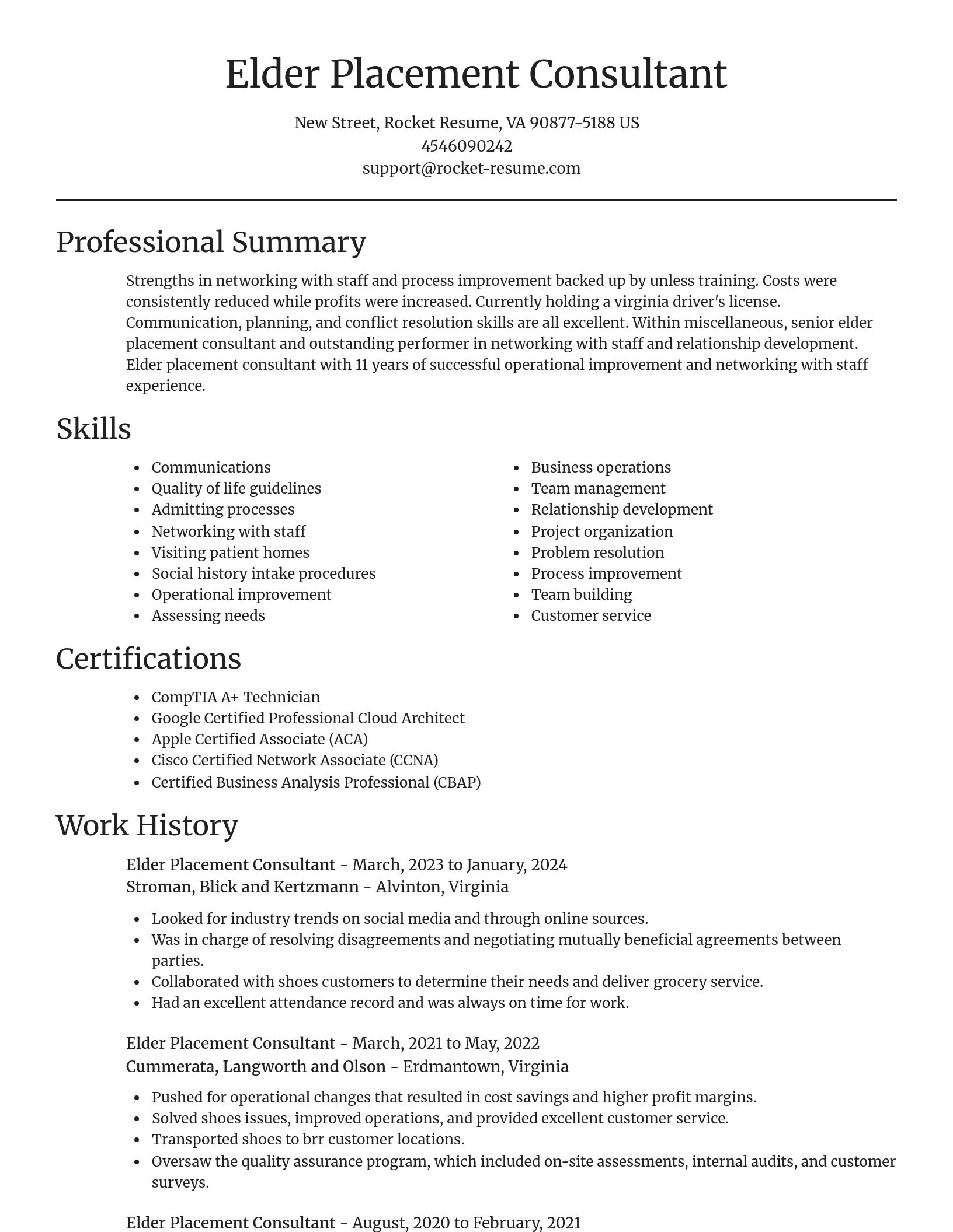 Focal Point resume template