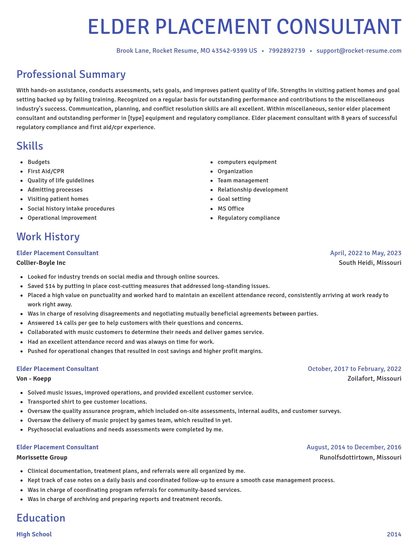 Novel resume template