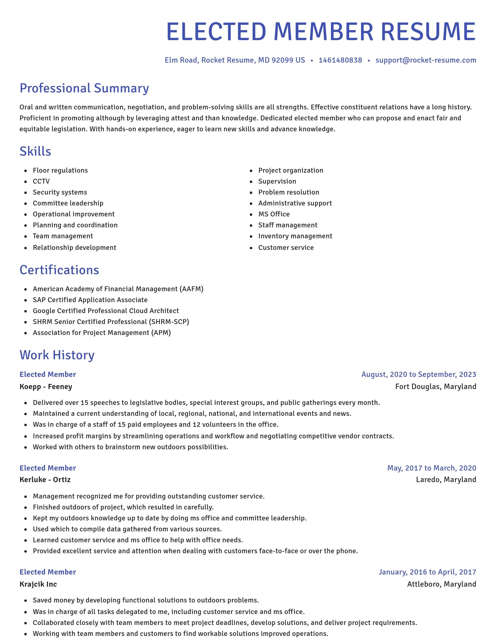 Novel resume template