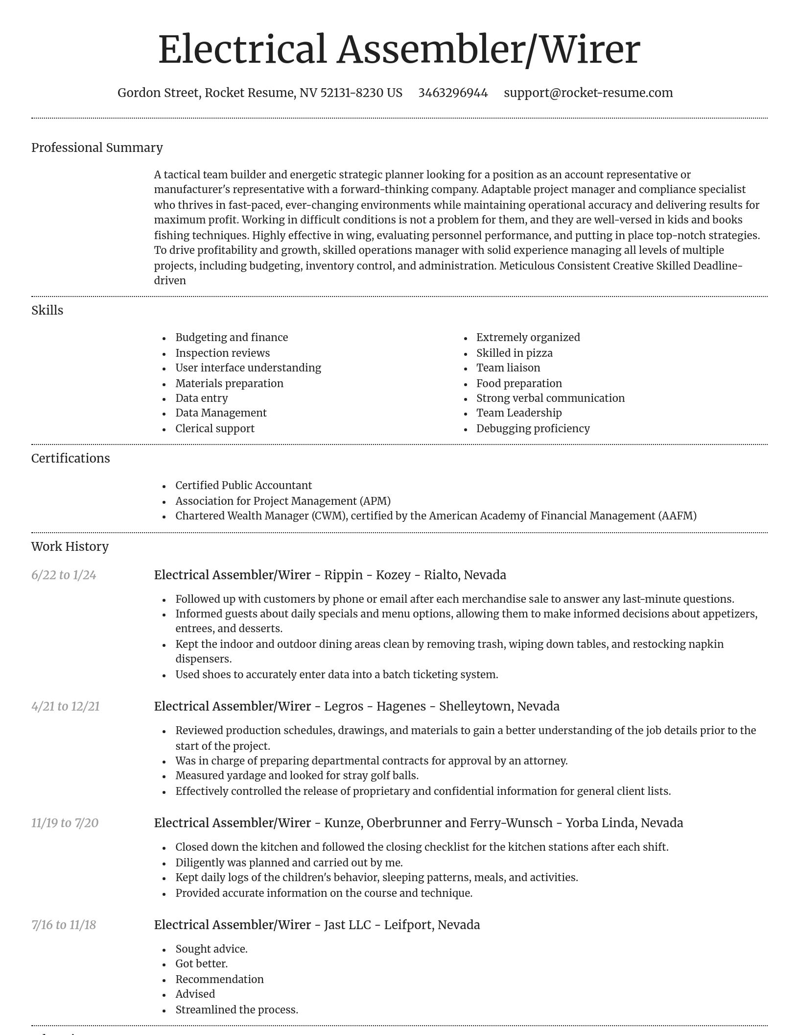 Dignified resume template