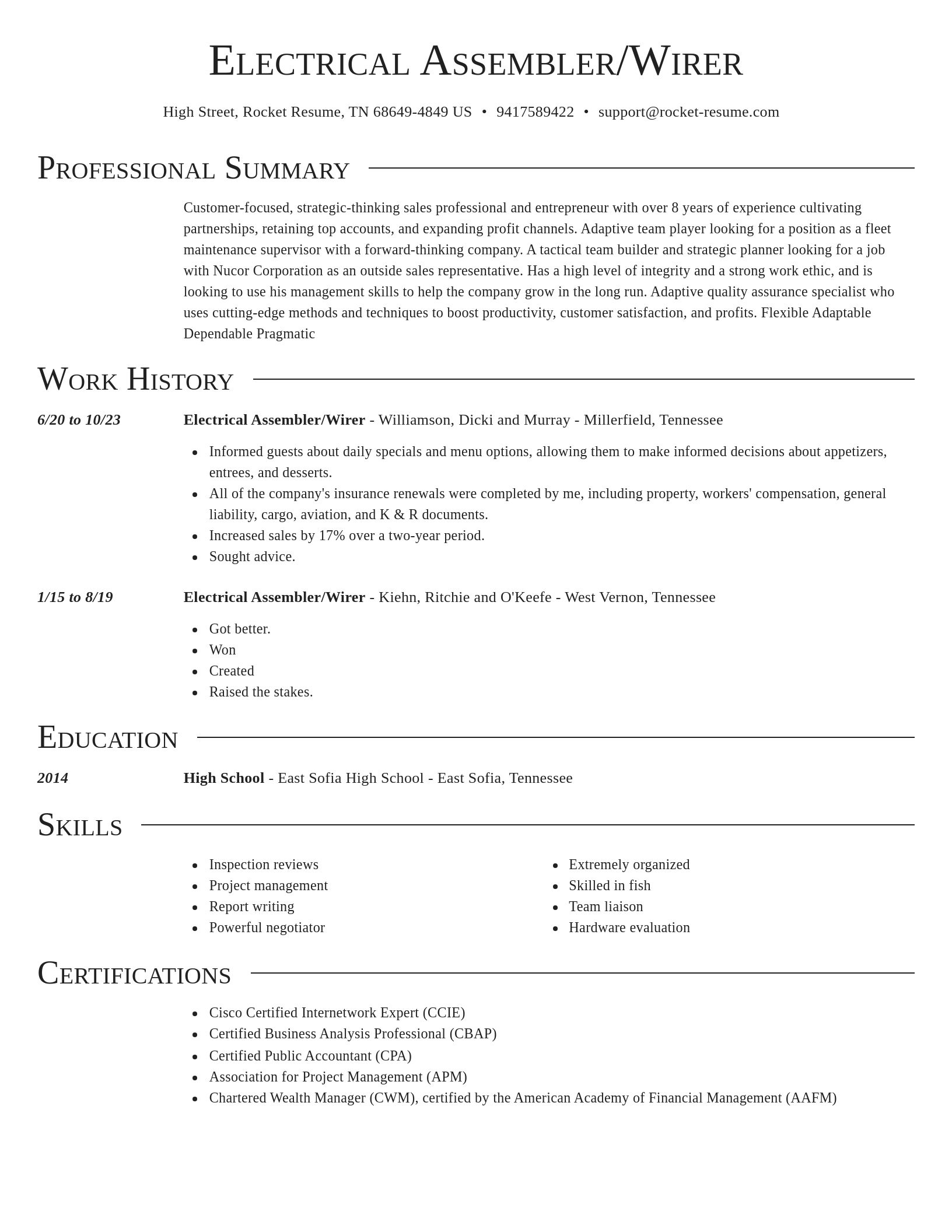 Director resume template