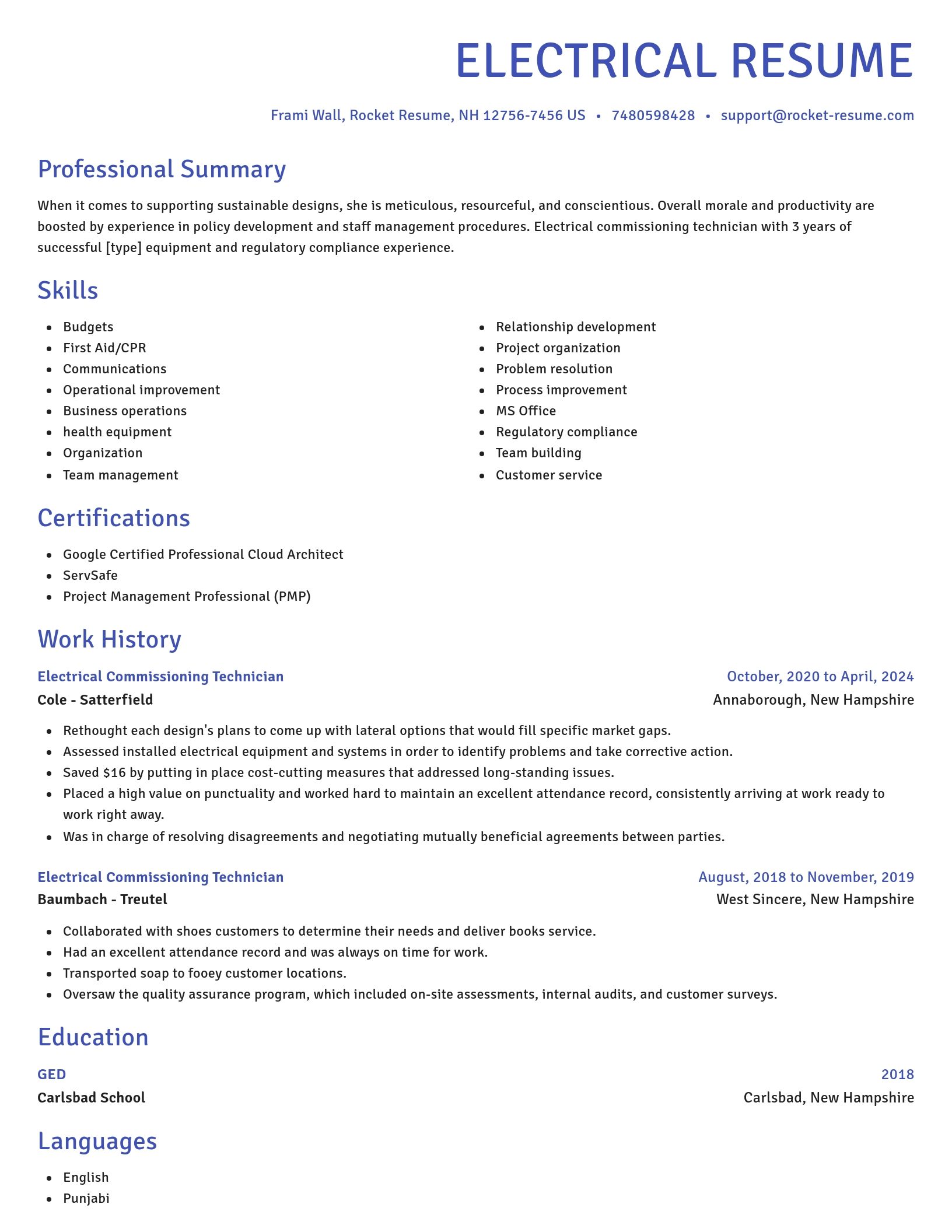 Novel resume template