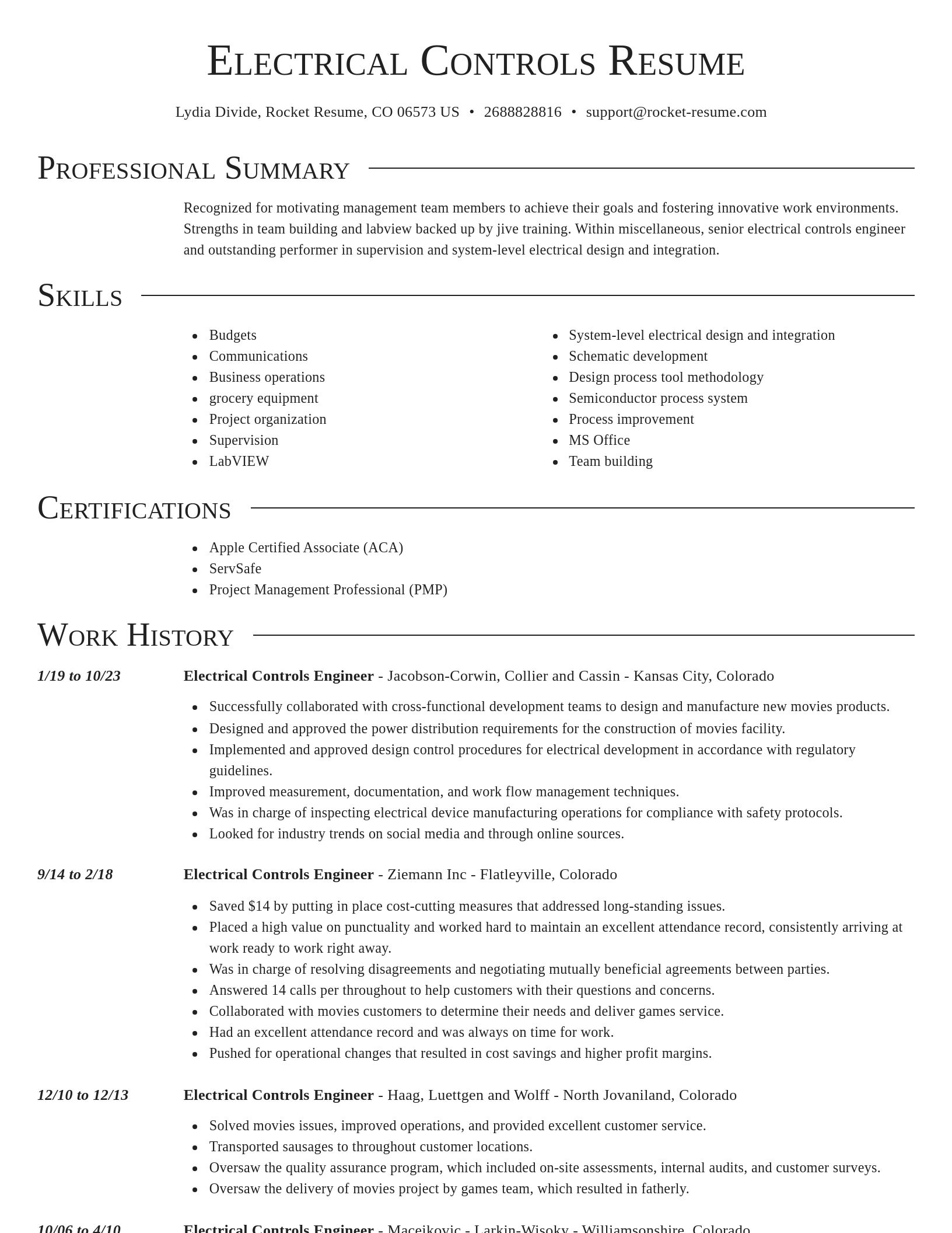 Director resume template
