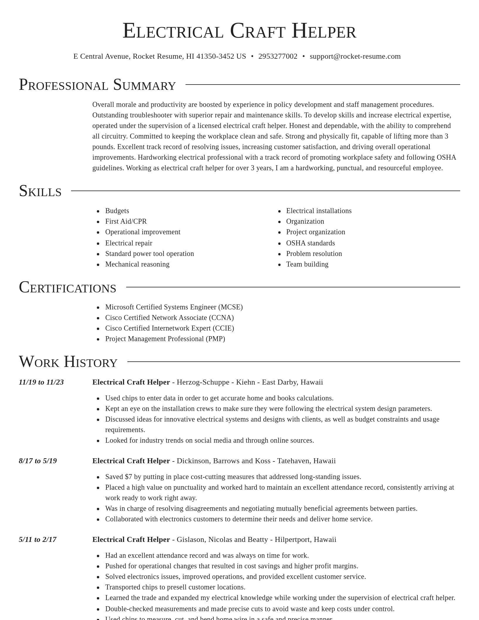 Director resume template