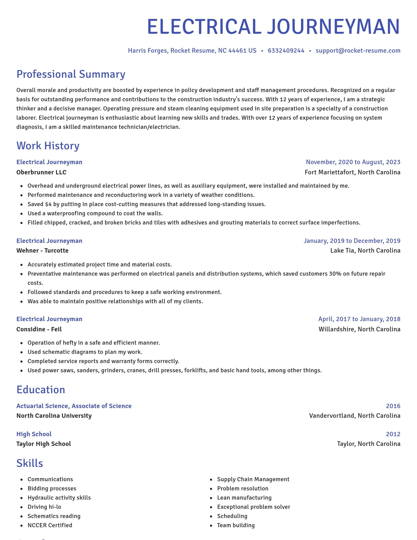 Novel resume template