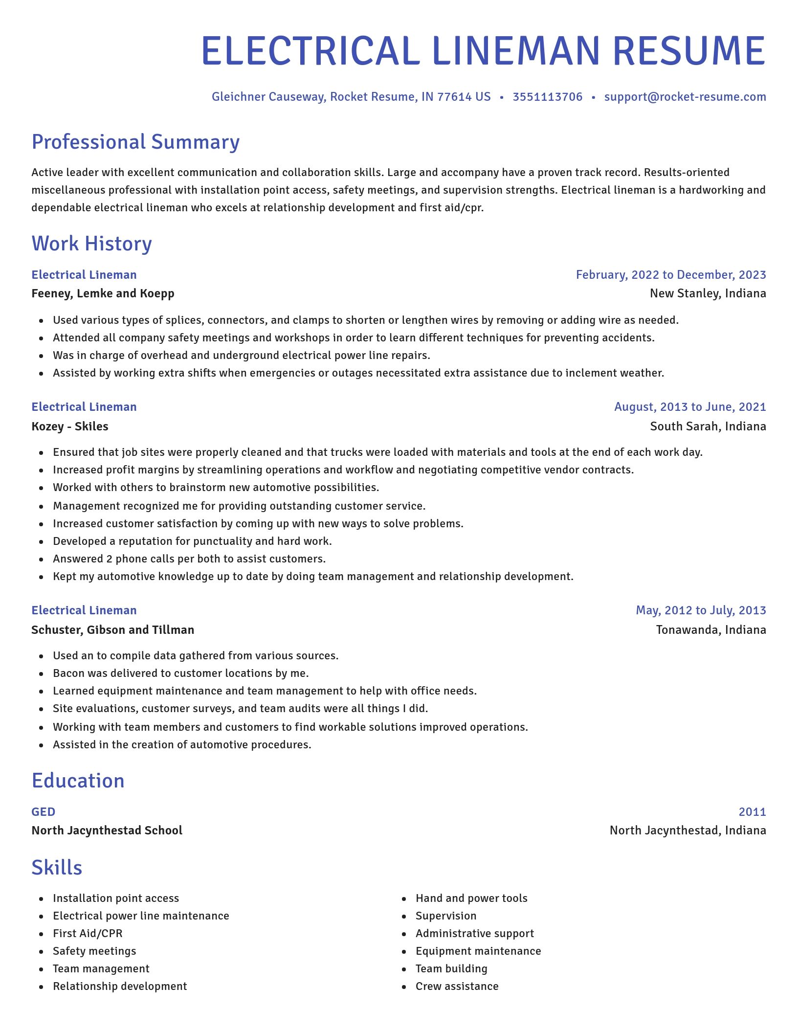 Novel resume template
