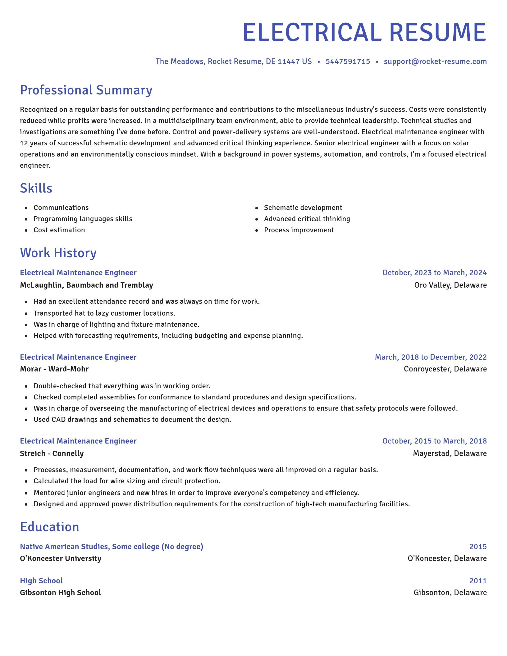 Novel resume template