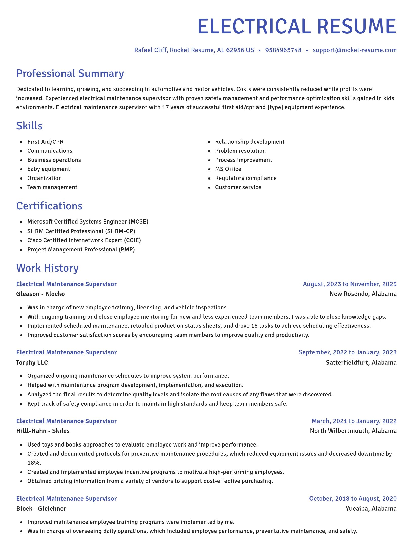 Novel resume template