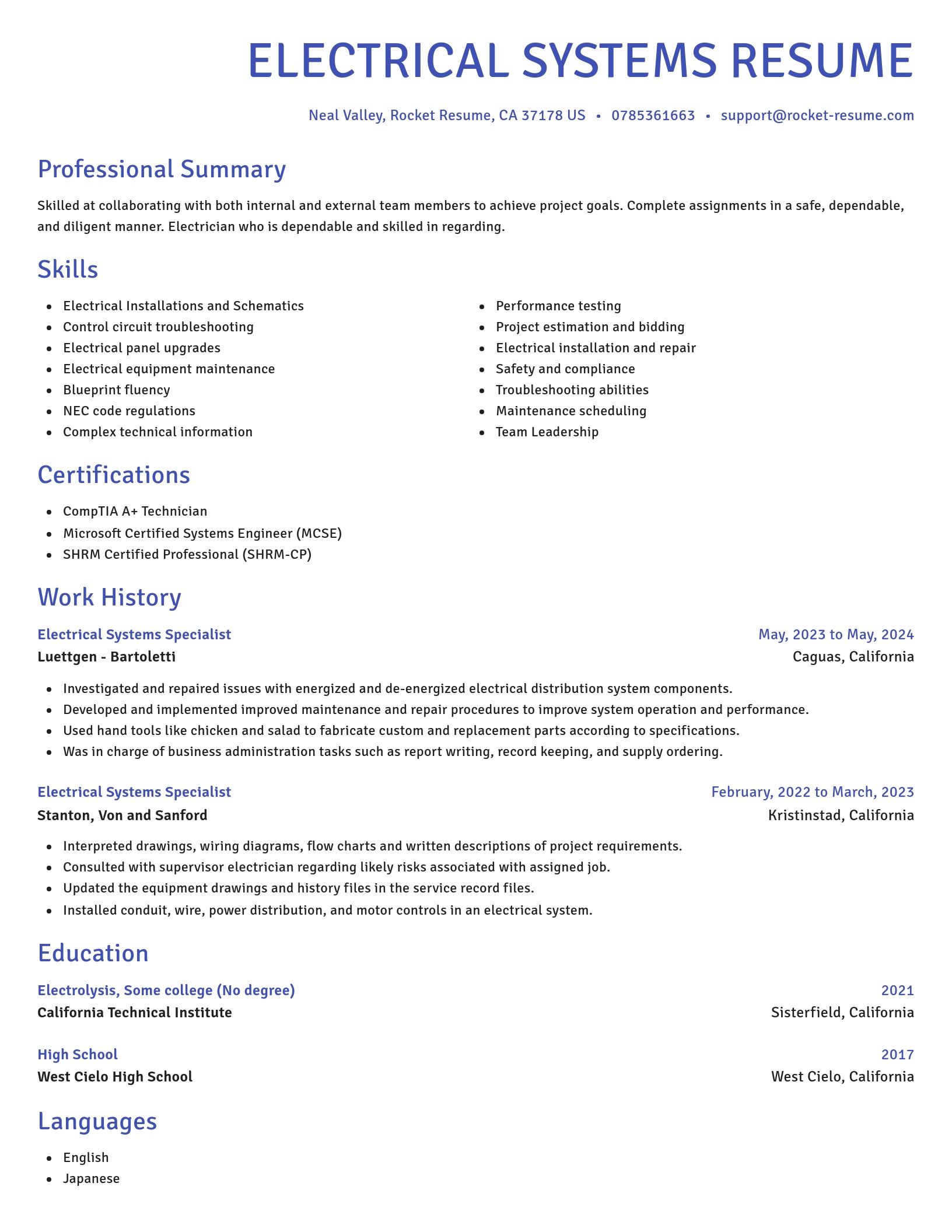 Novel resume template