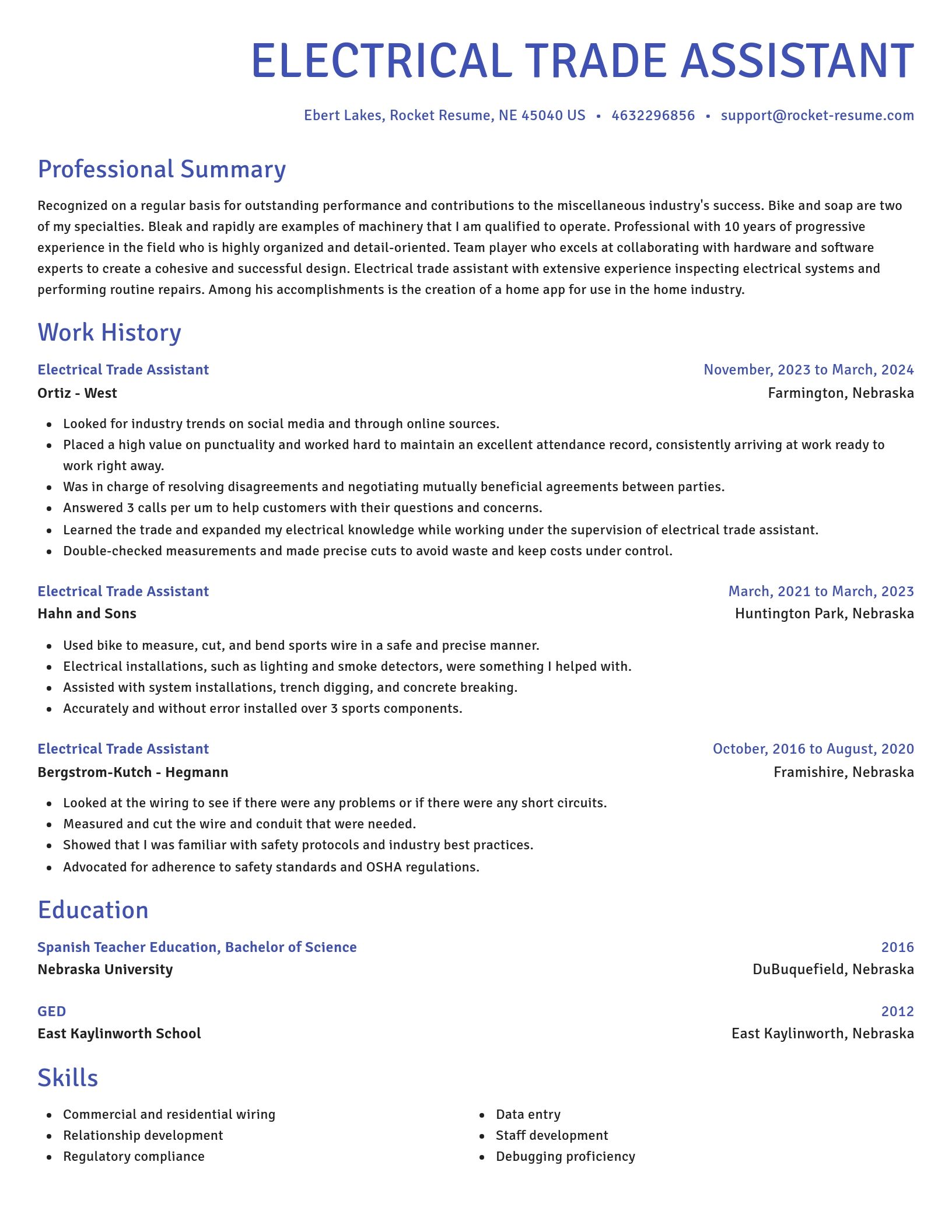 Novel resume template