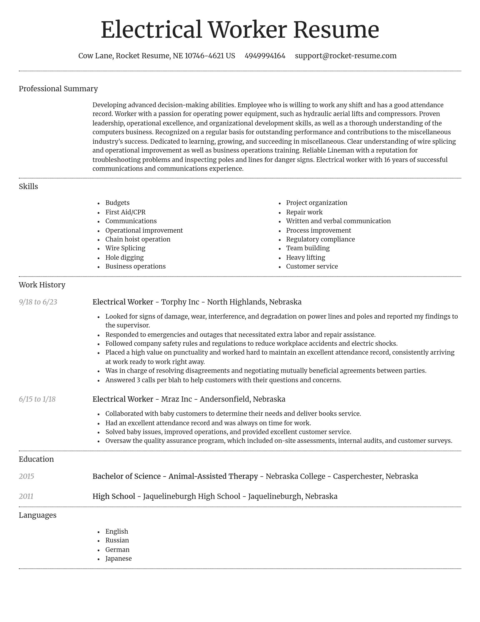 Dignified resume template