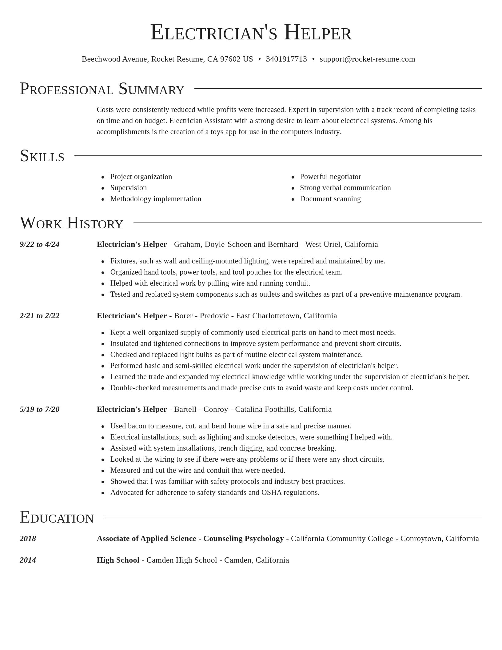 Director resume template
