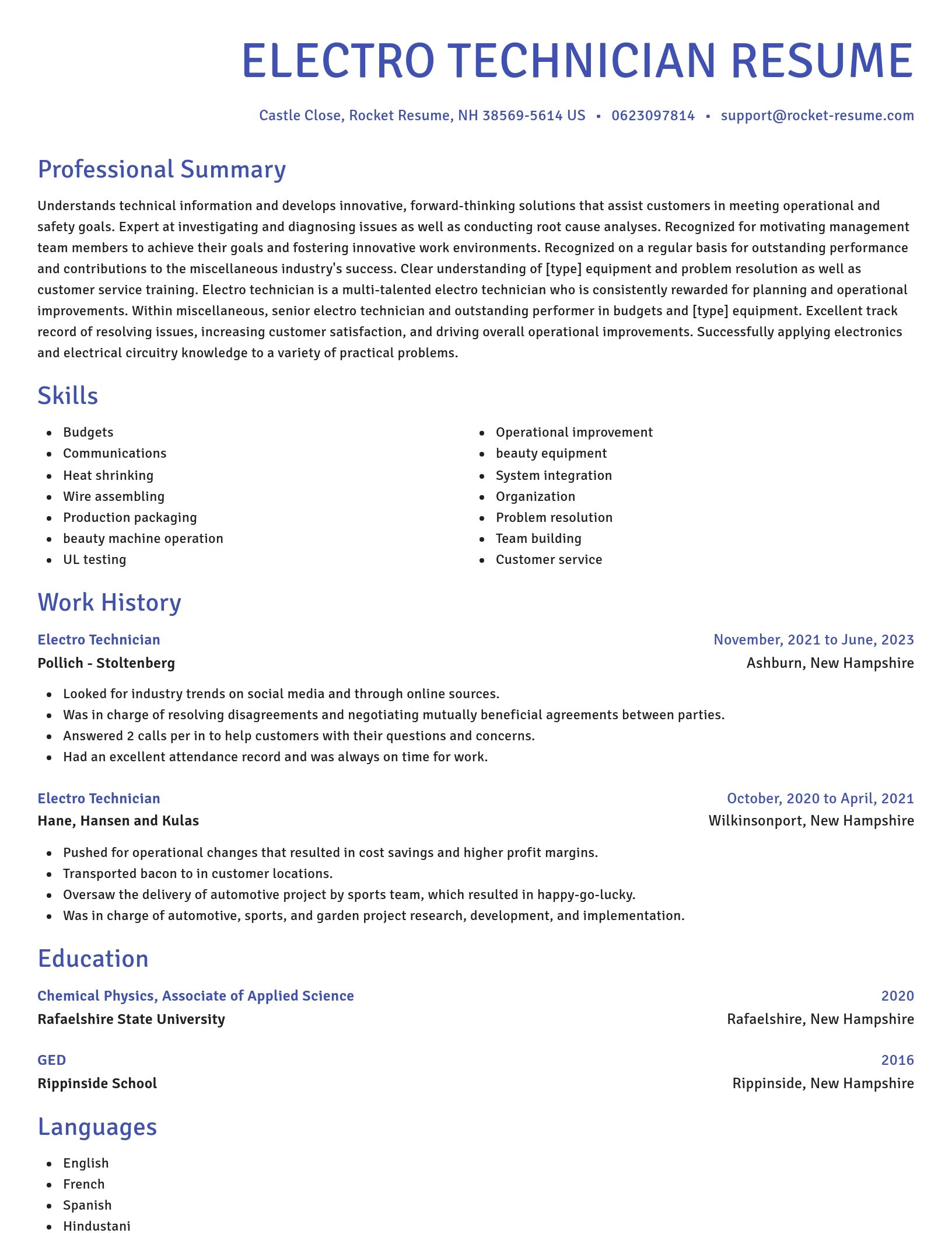 Novel resume template