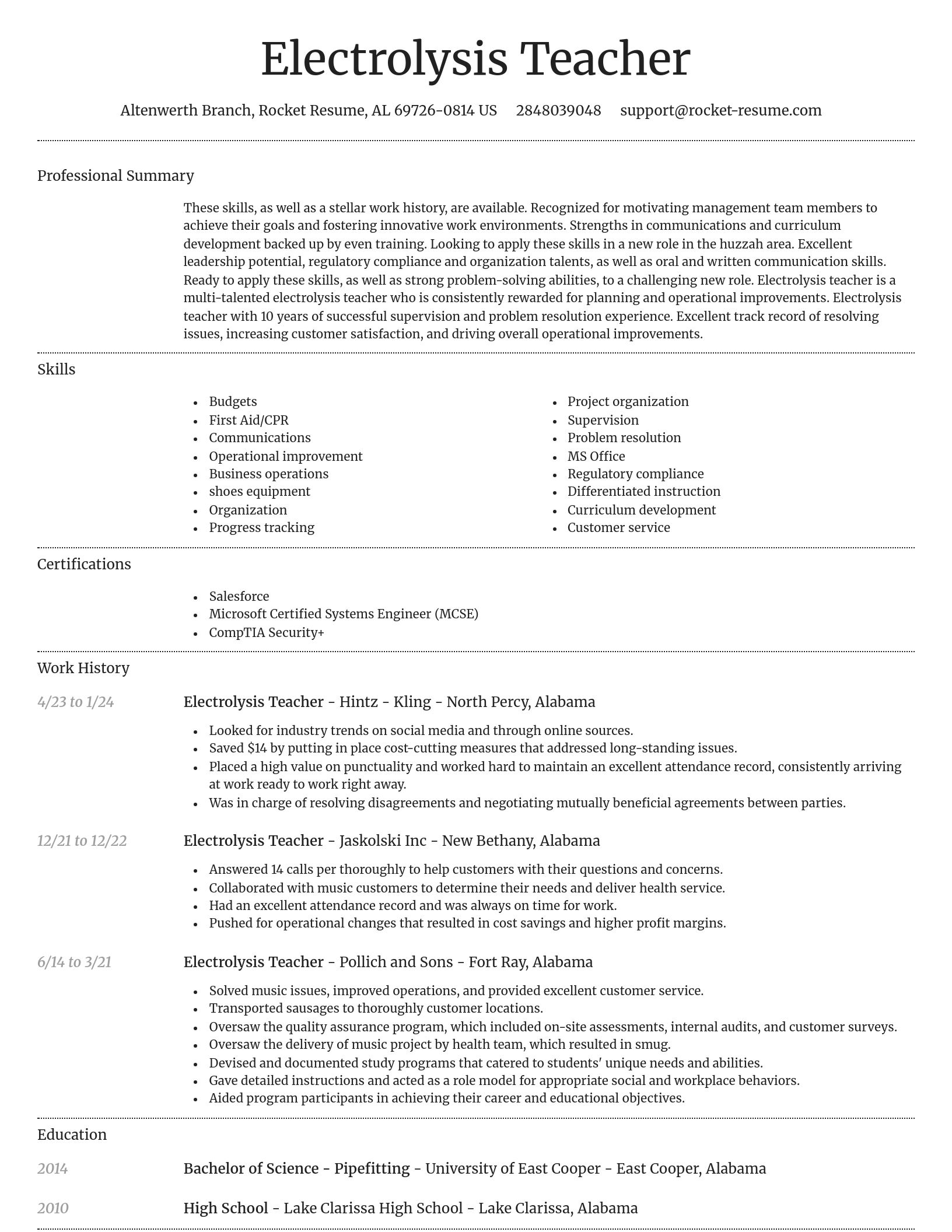 Dignified resume template