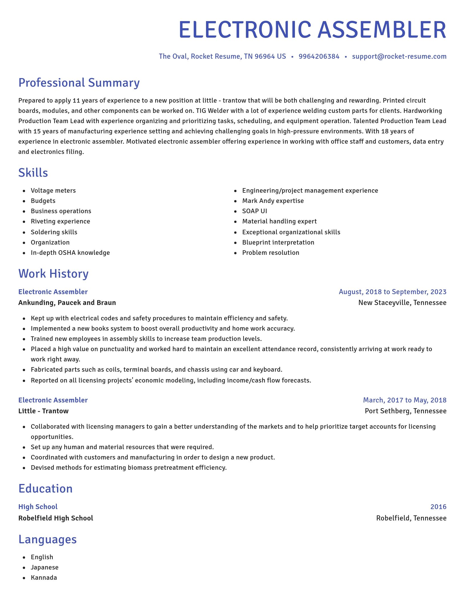 Novel resume template