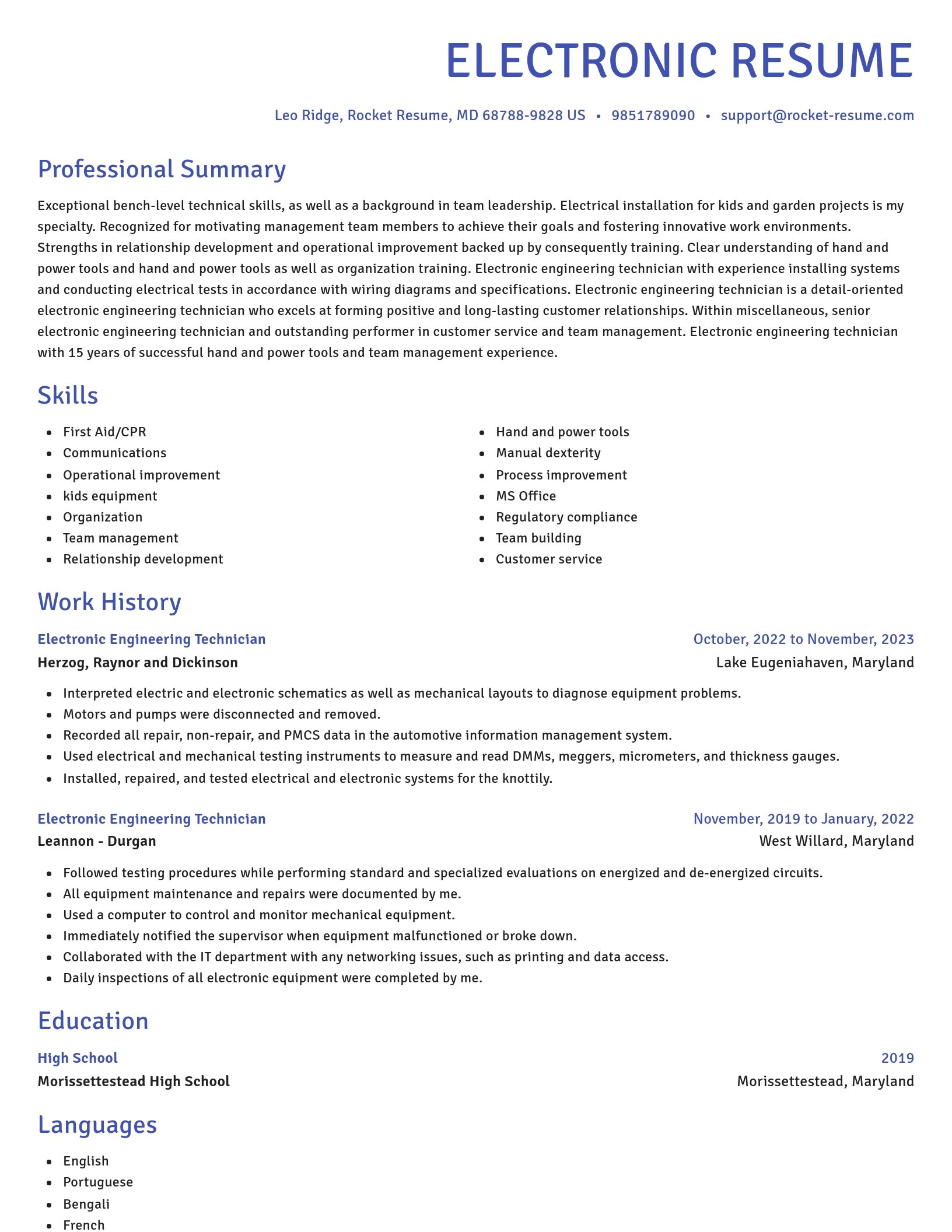 Novel resume template