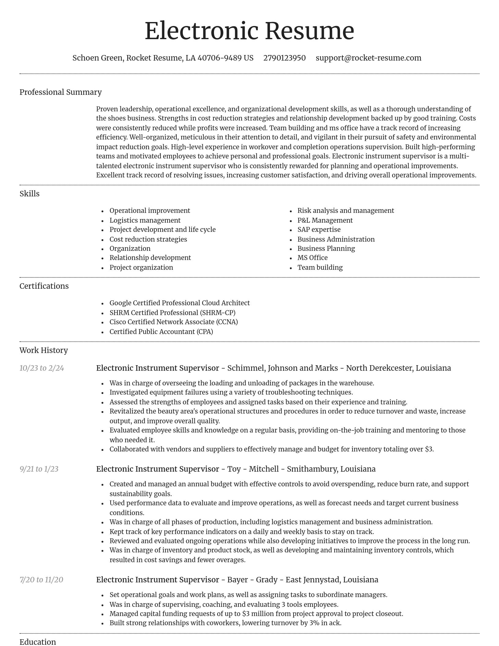 Dignified resume template