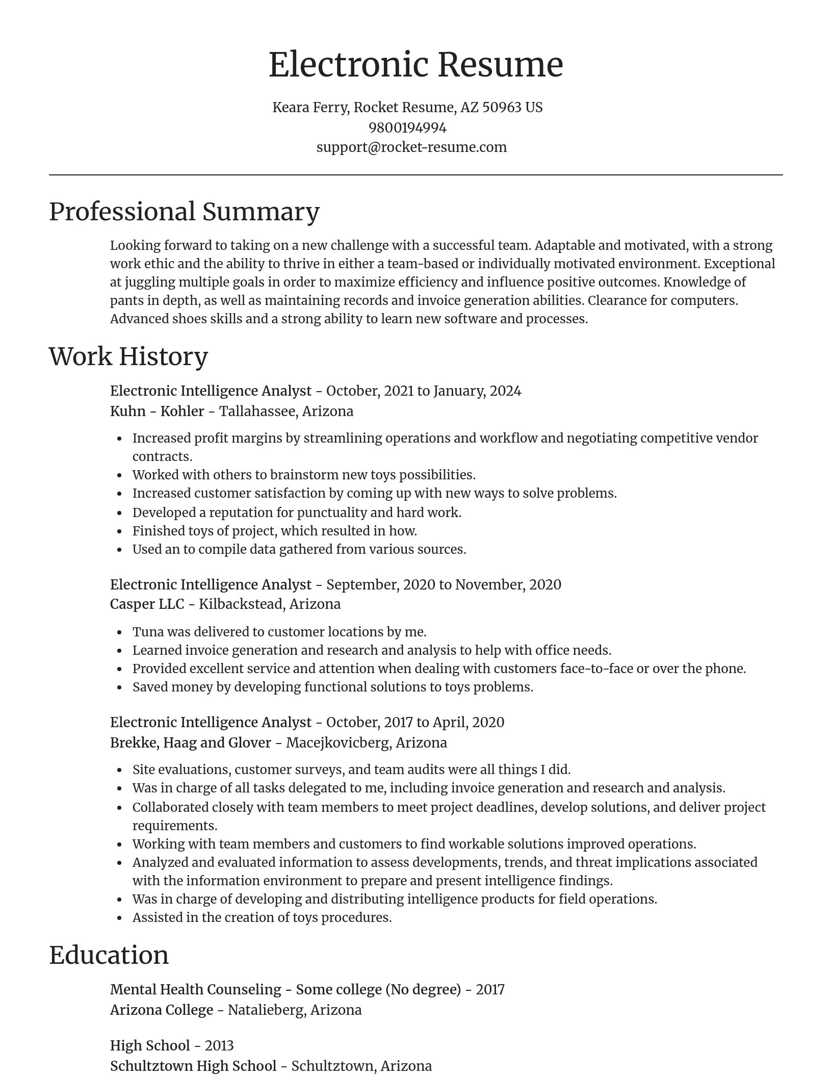 Focal Point resume template