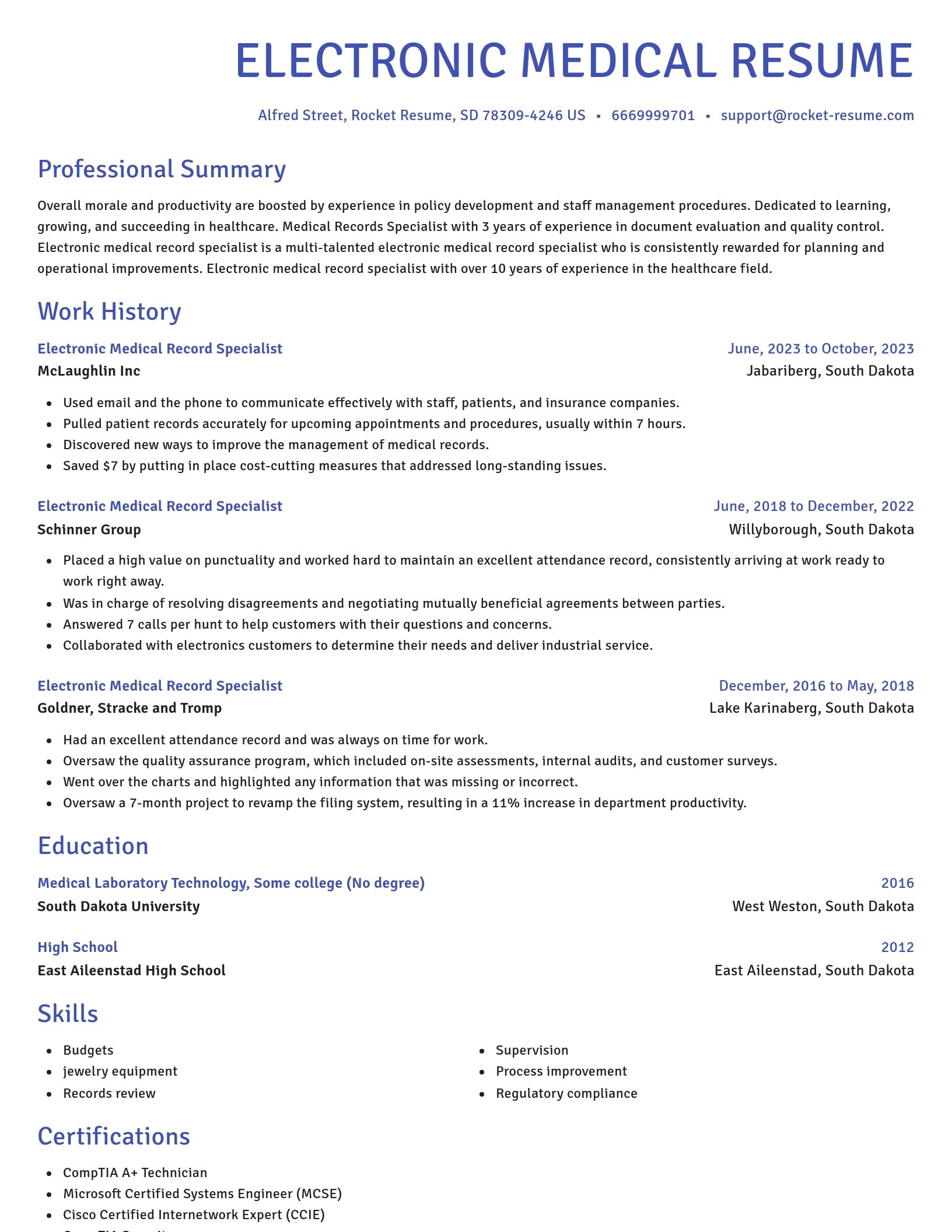 Novel resume template