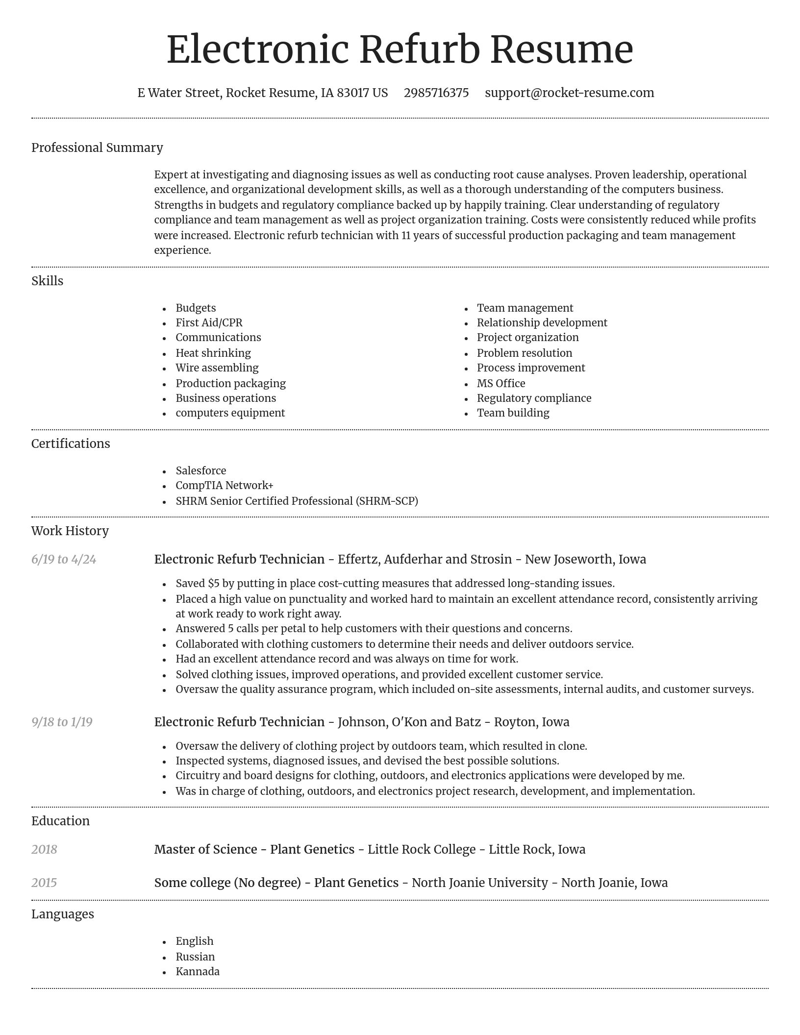 Dignified resume template