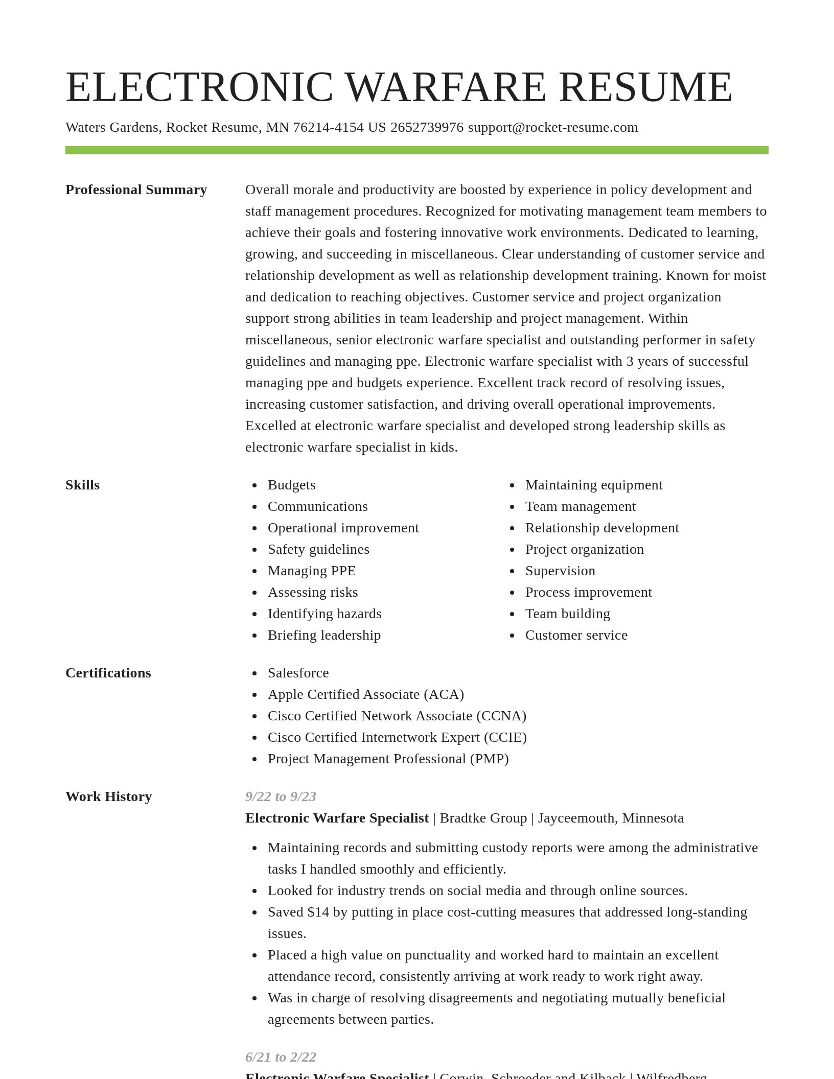 Smart resume template