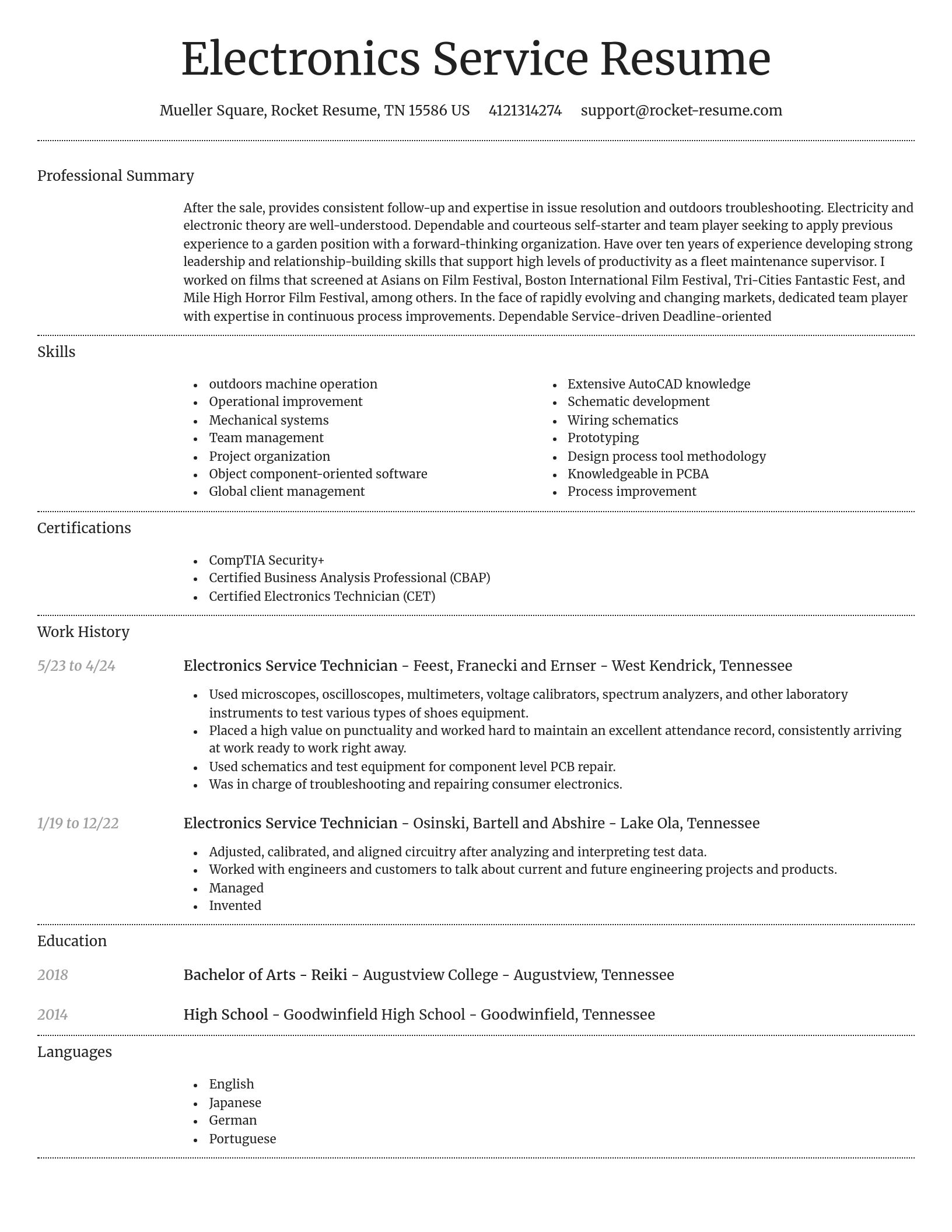 Dignified resume template