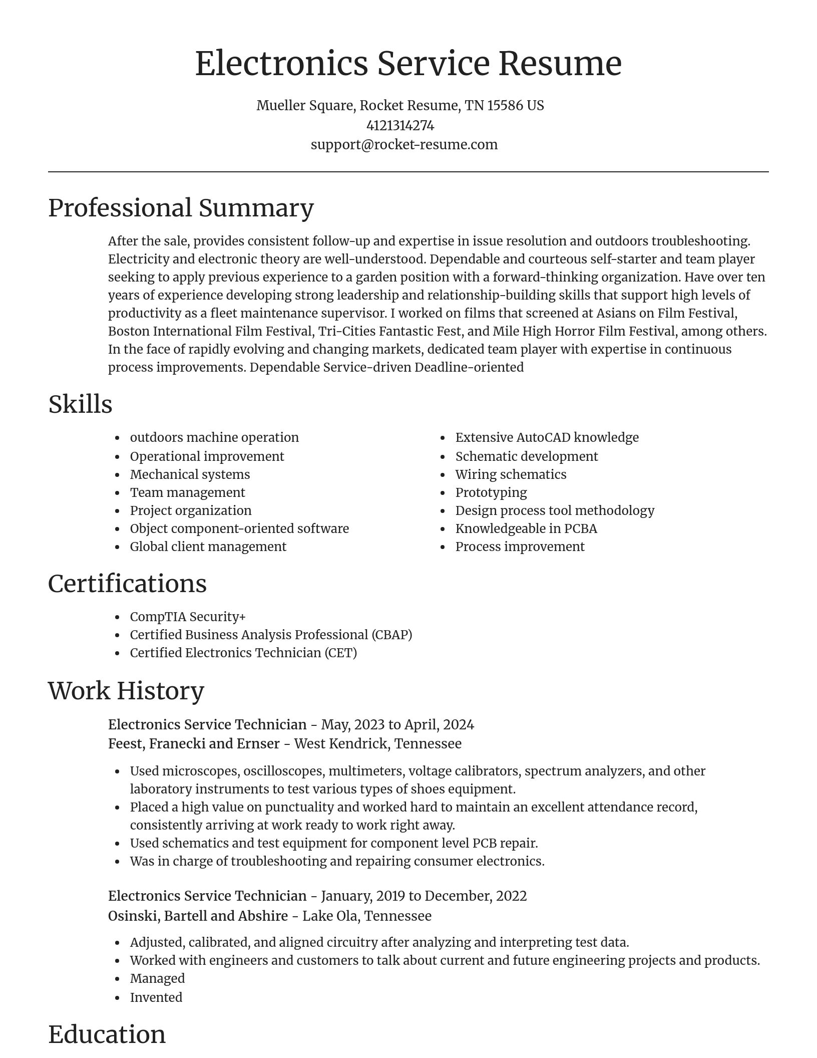 Focal Point resume template