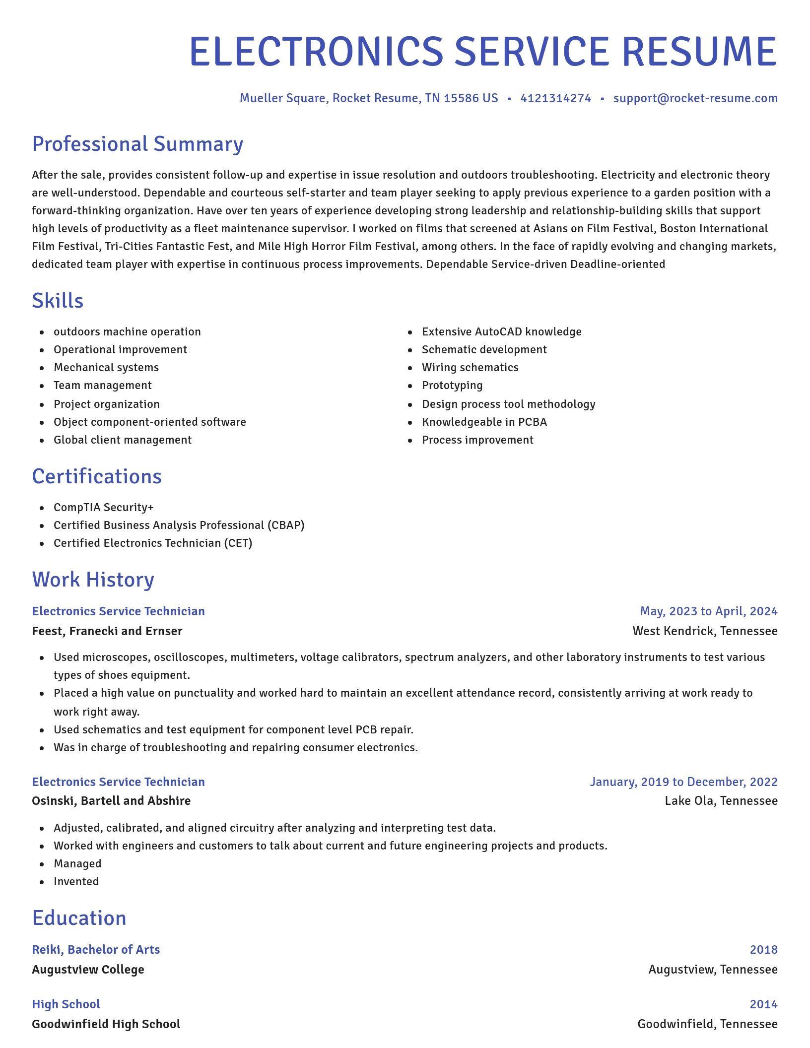 Novel resume template