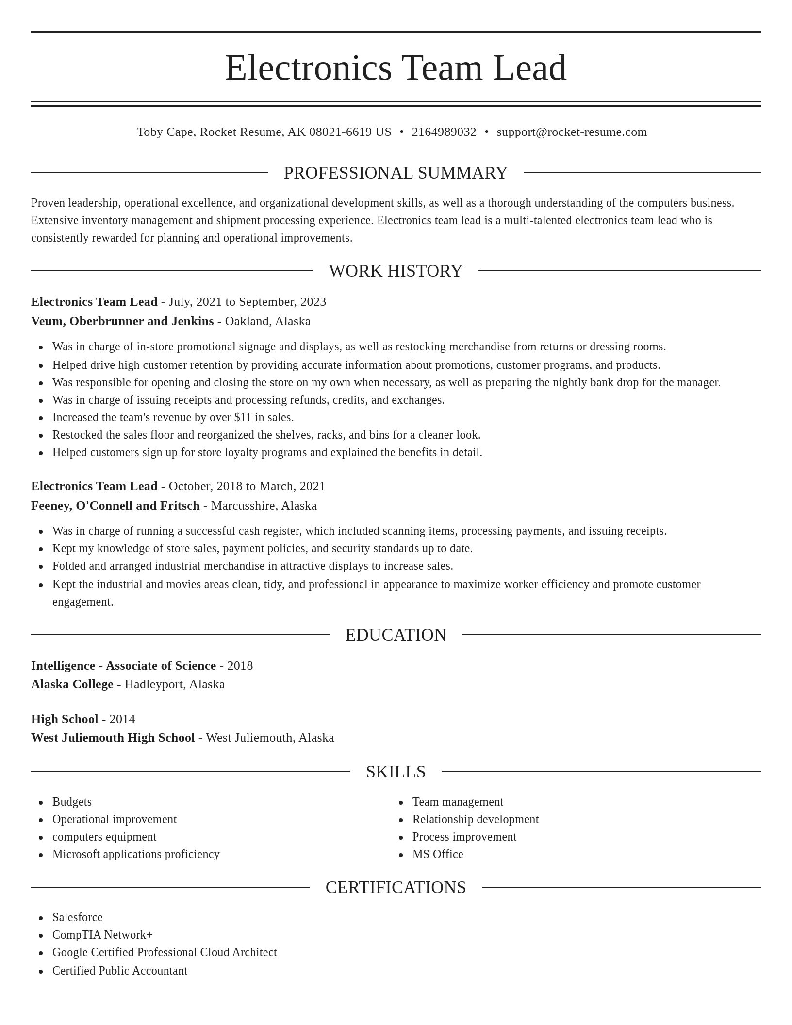 Elegant resume template