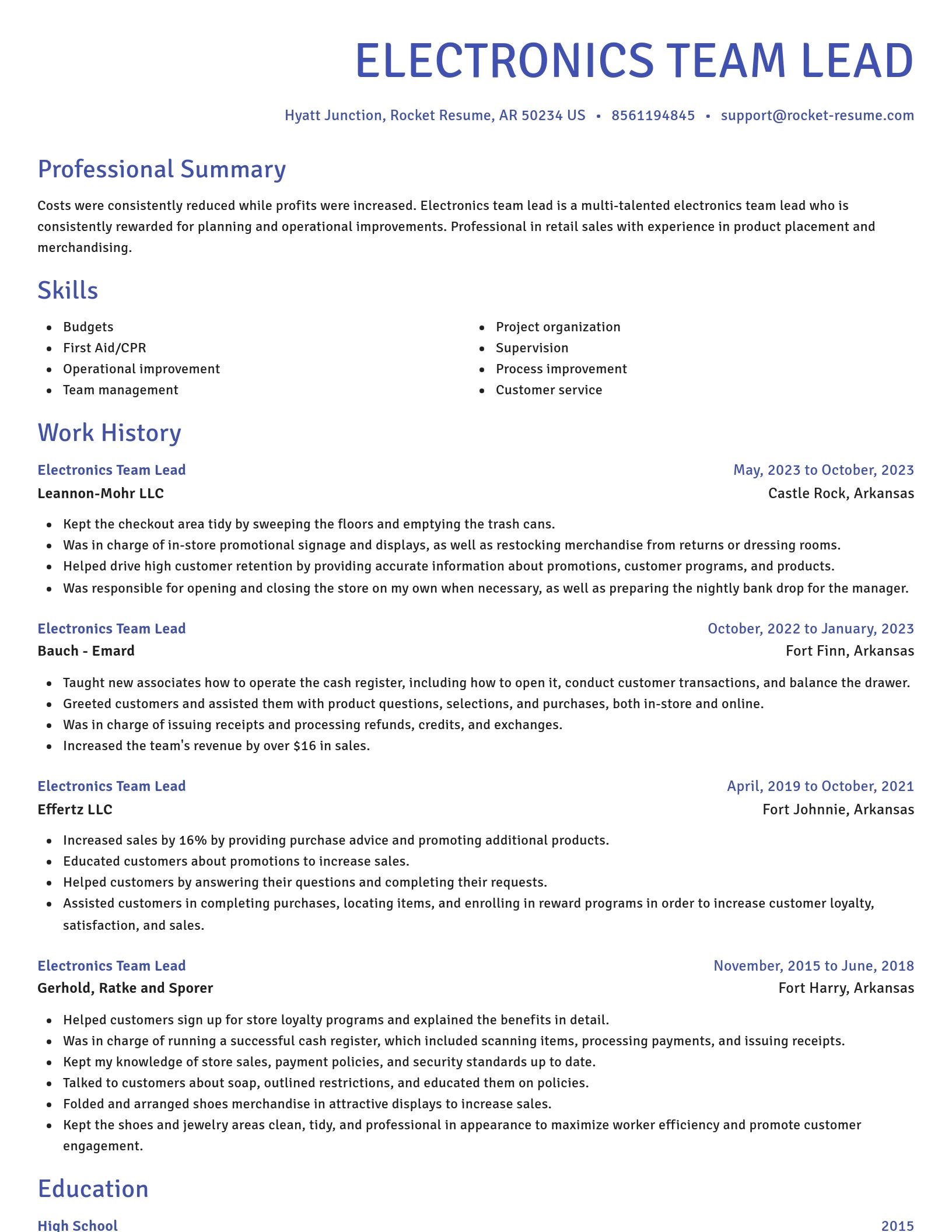 Novel resume template