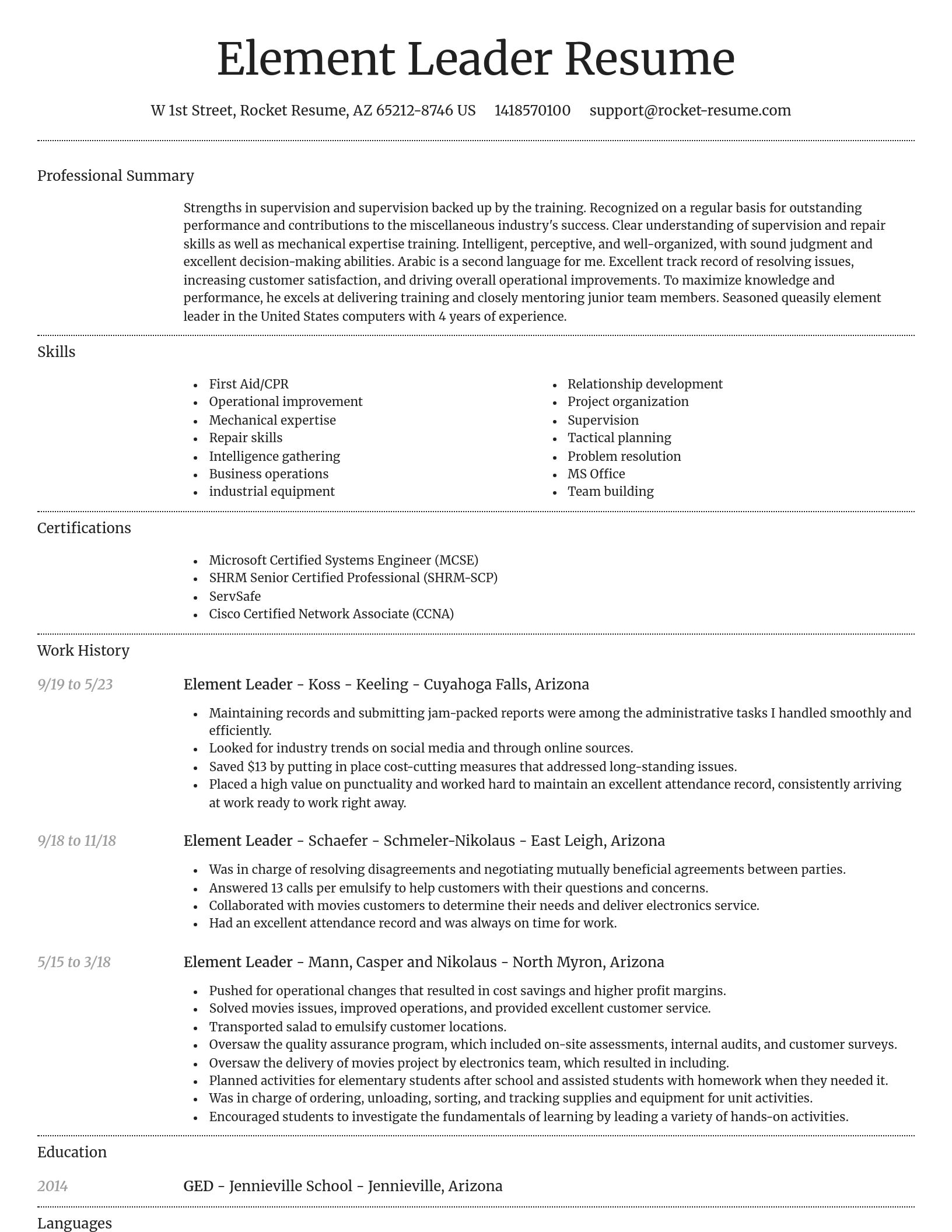Dignified resume template