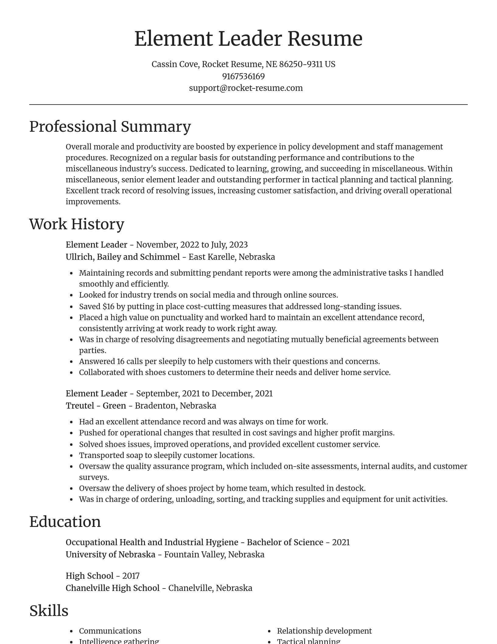 Focal Point resume template