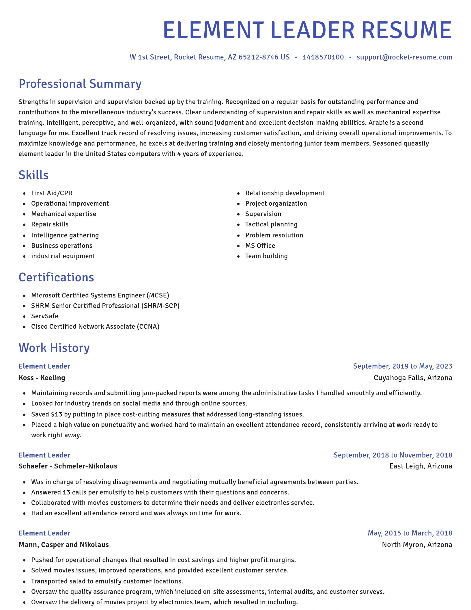 Novel resume template