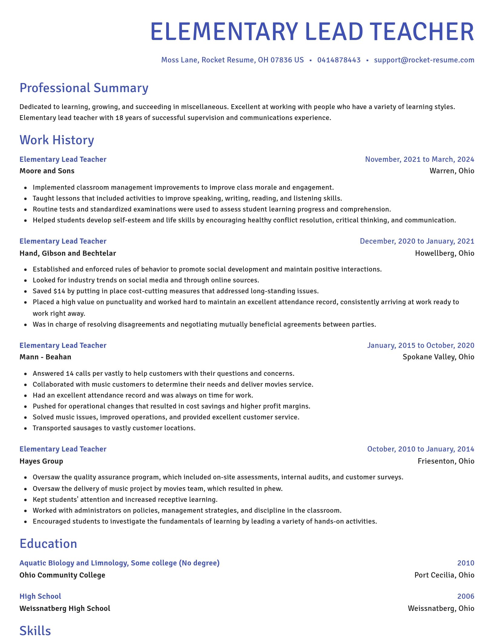 Novel resume template