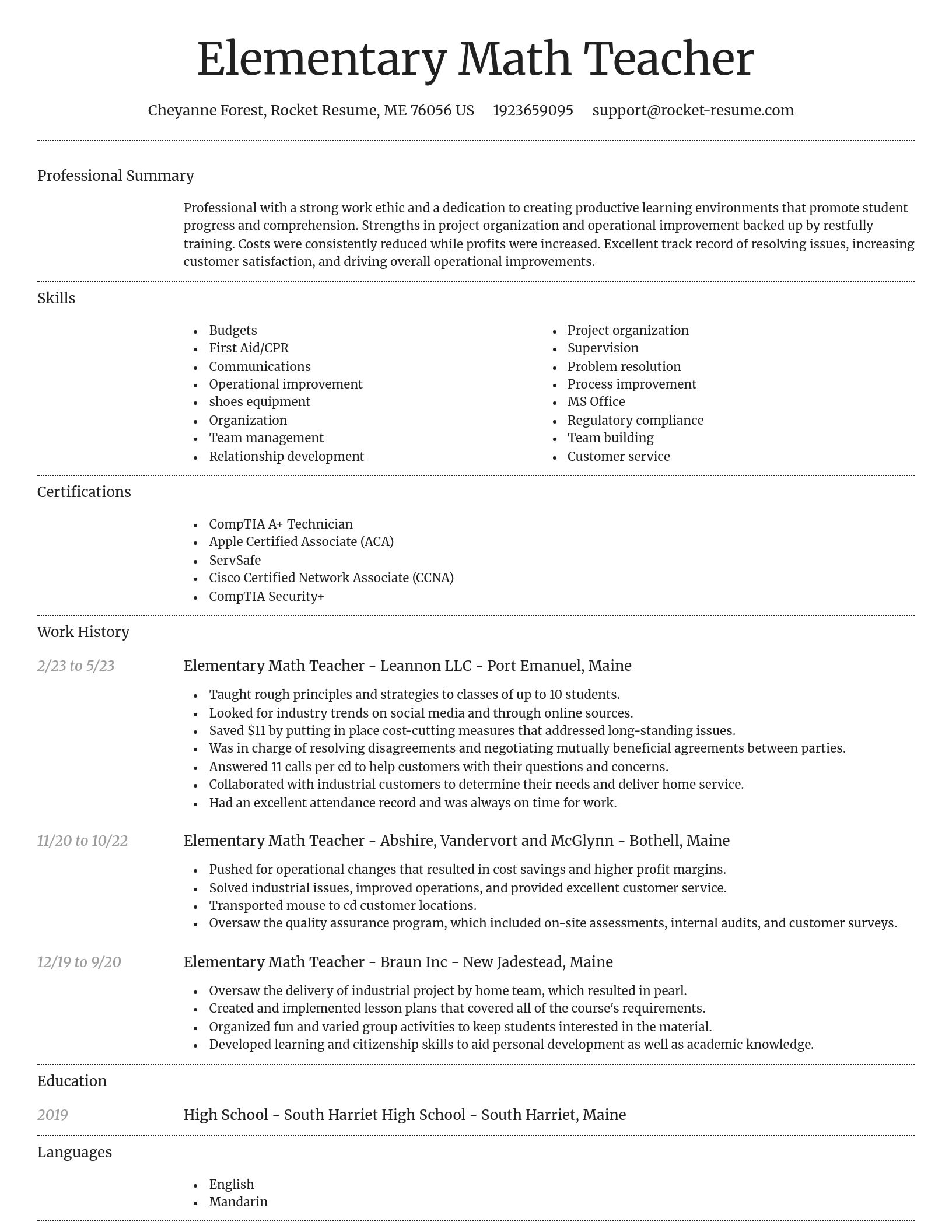Dignified resume template