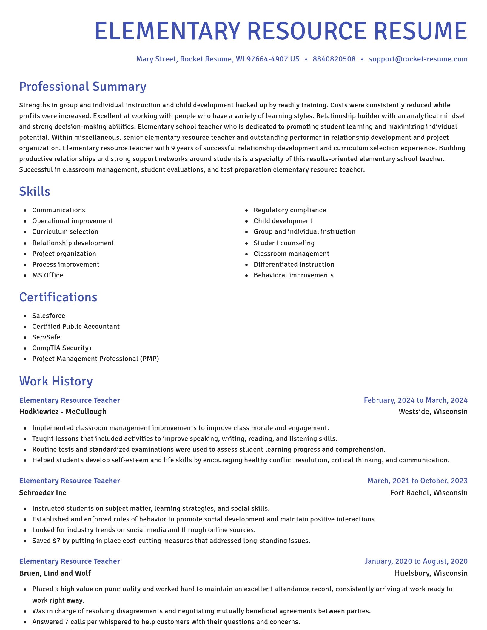 Novel resume template